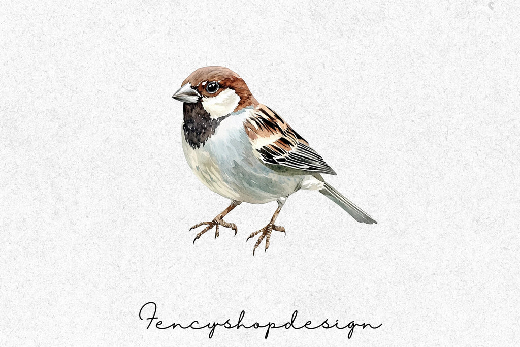 Sparrow Bird Clipart Bundle