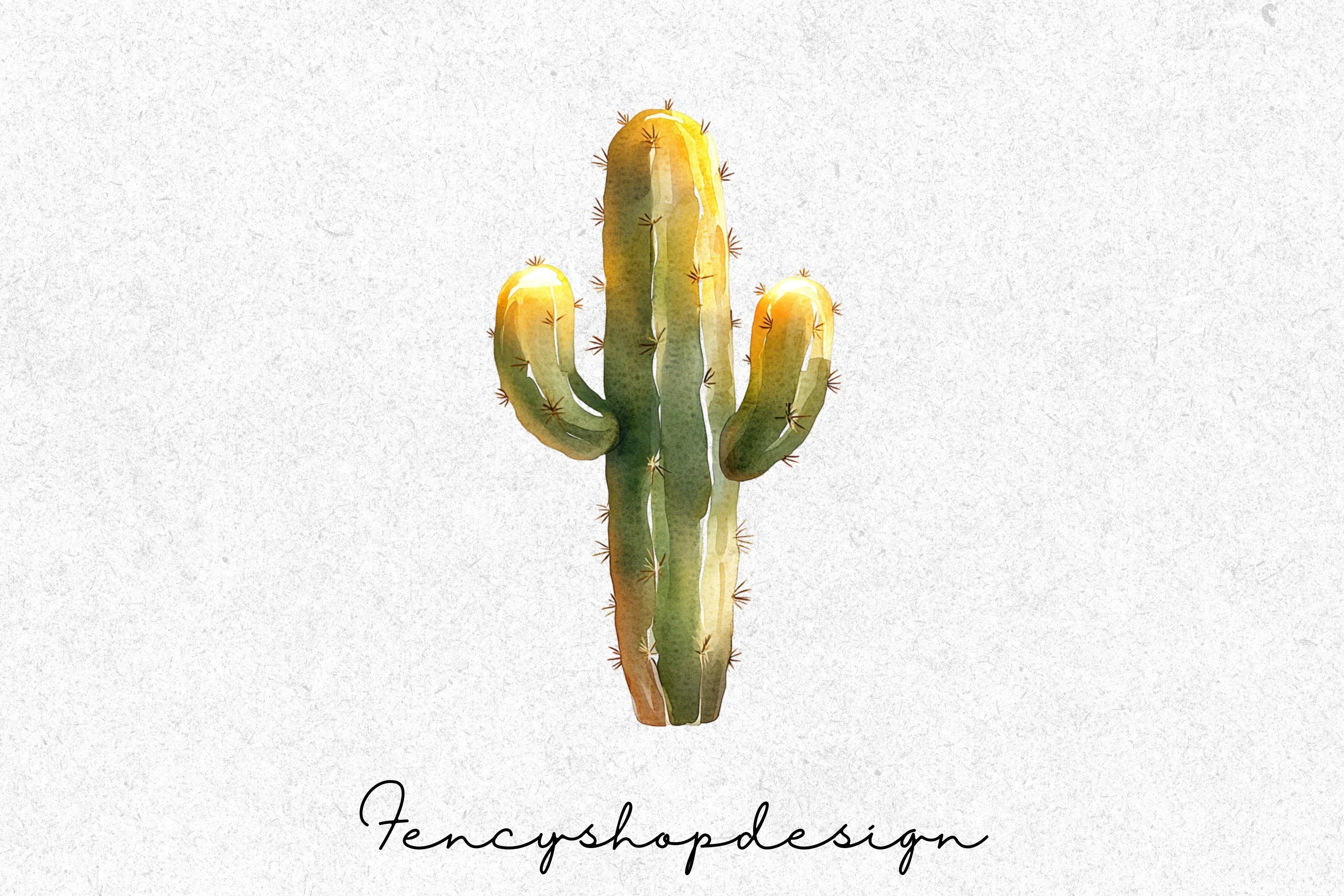 Boho Cactus Clipart Bundle