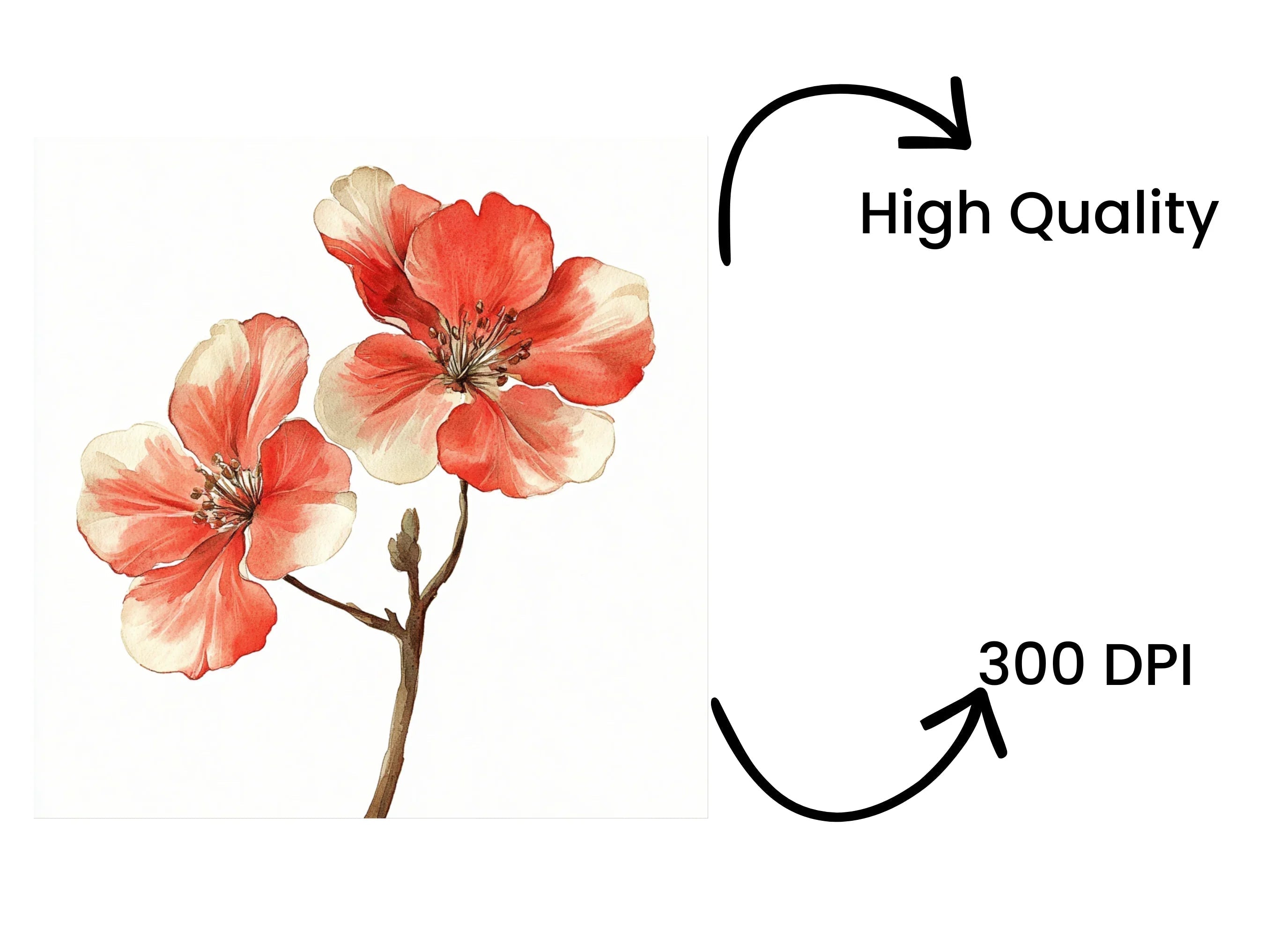 Floral Clipart Bundle