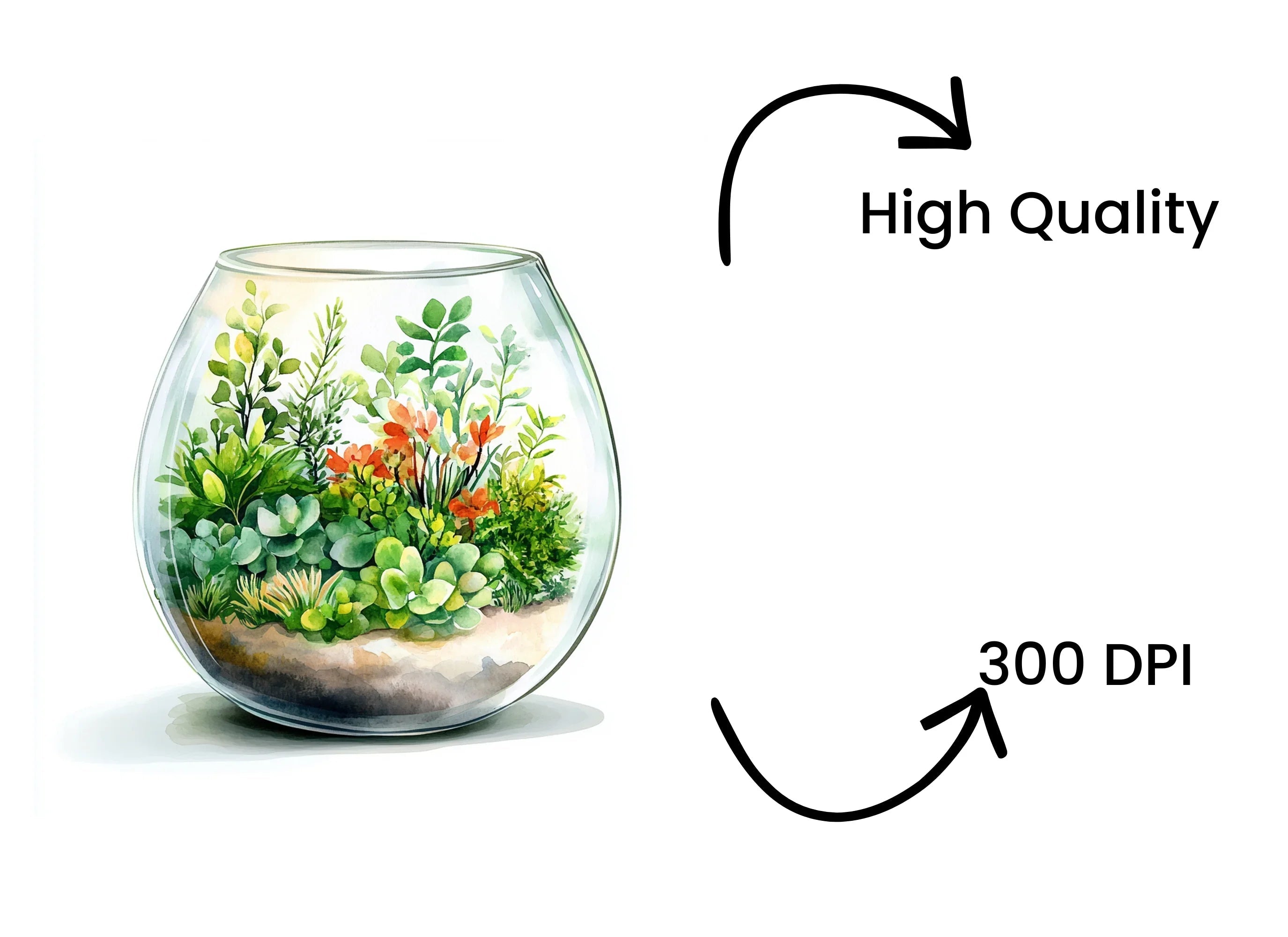 Charming Terrarium Clipart Bundle