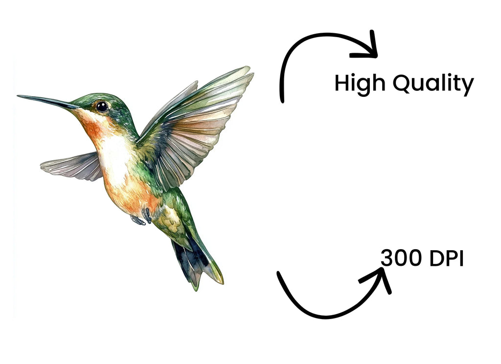 Ruby Throated Hummingbird Clipart Bundle