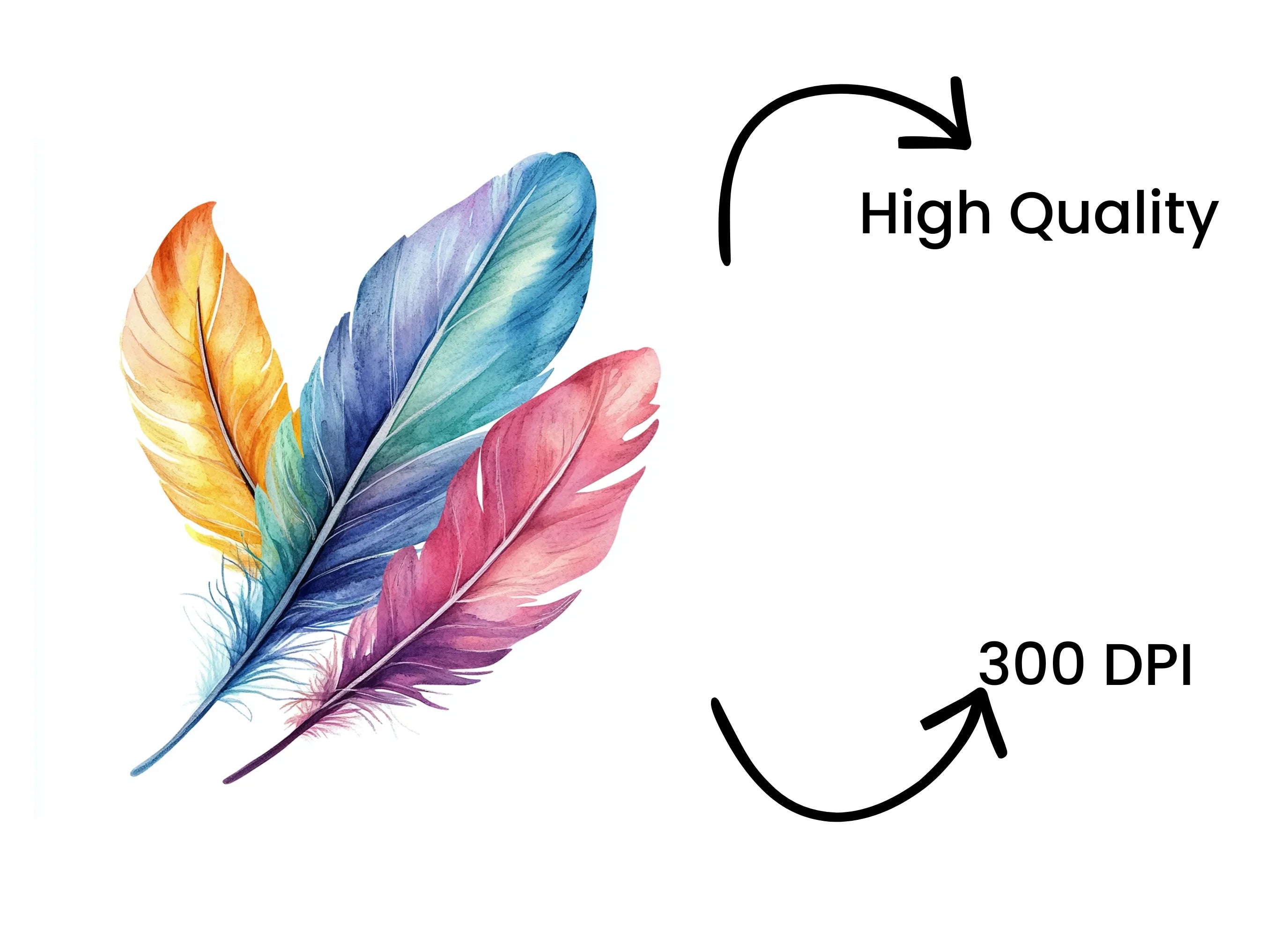 Colorful Feather Arrangement Clipart Bundle