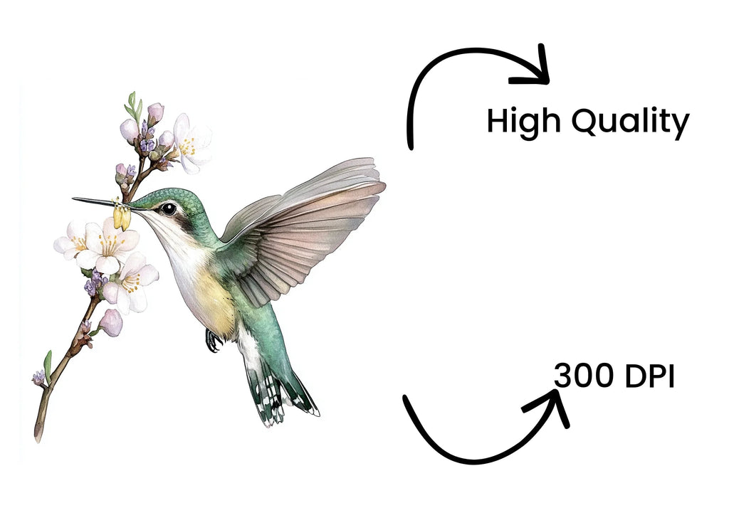 Hummingbird and Blossom Clipart Bundle