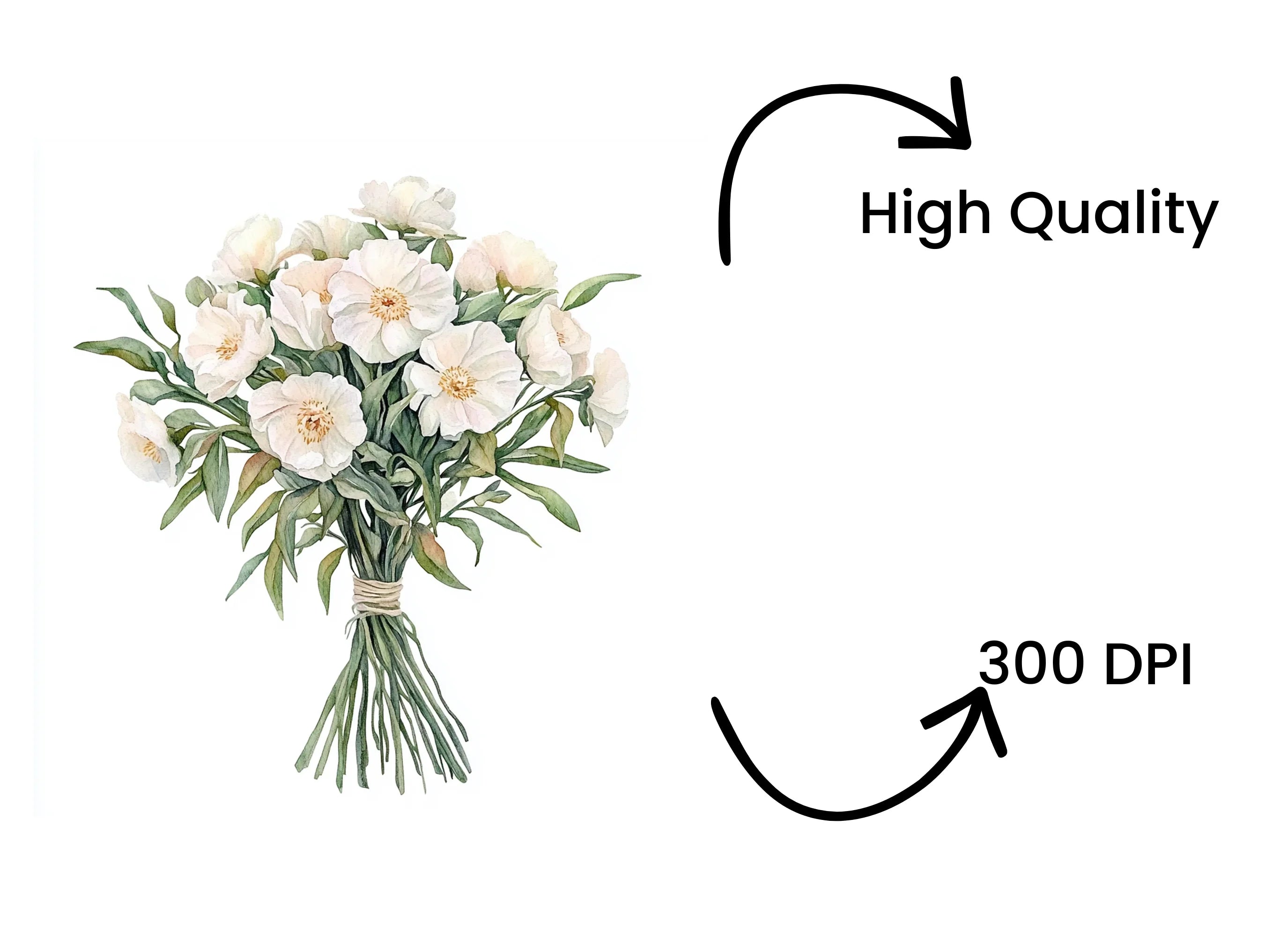 Elegant White Floral Bouquet Clipart Bundle