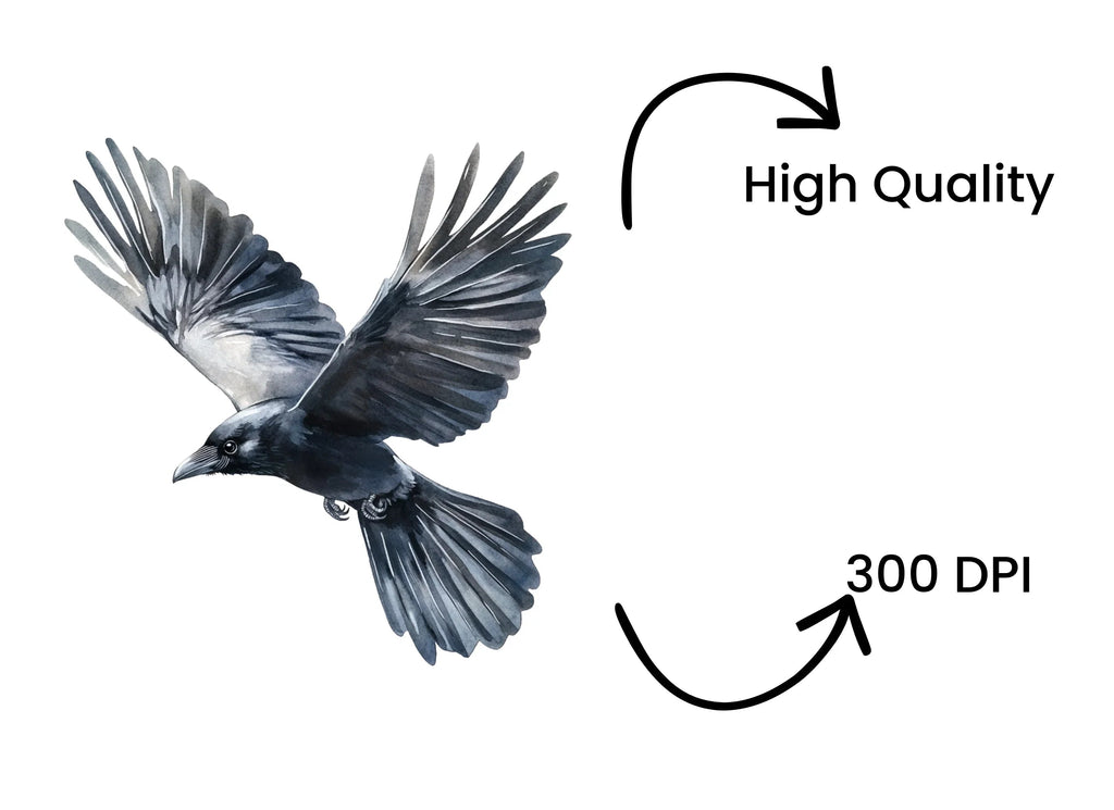 Flying Raven Clipart Bundle