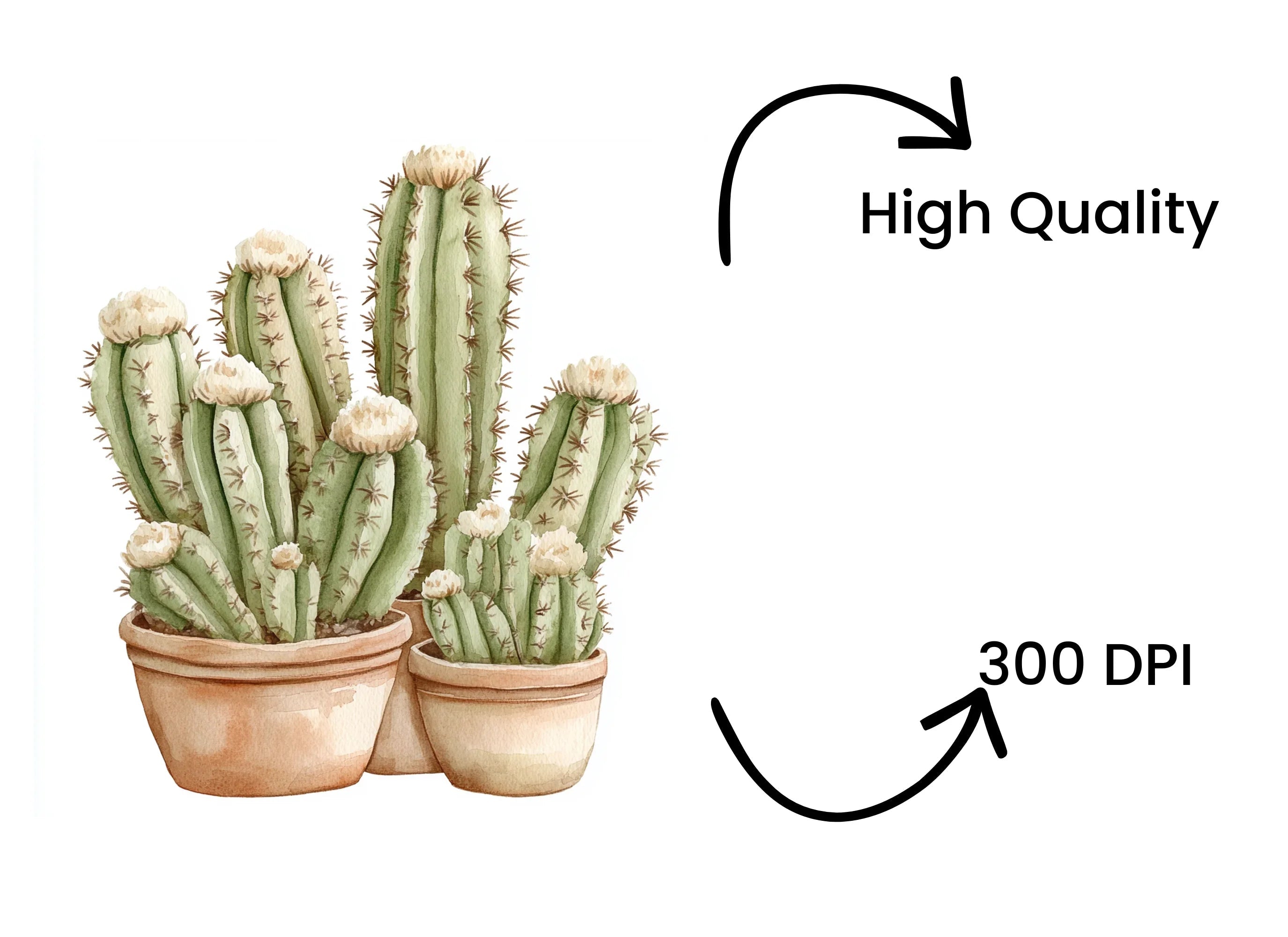 Cactus Clipart Bundle