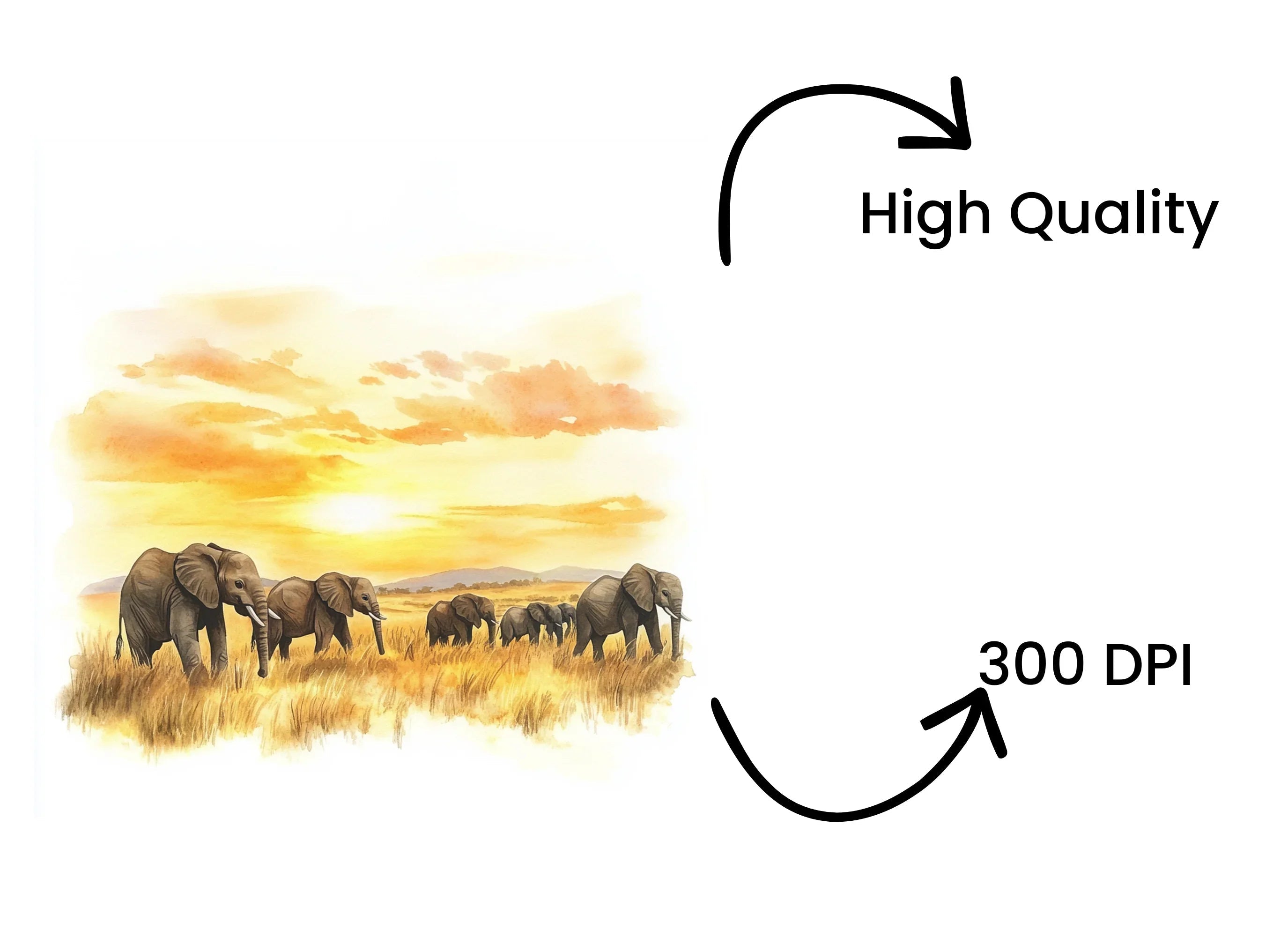 Elephants in Golden Sunset Landscape Clipart Bundle
