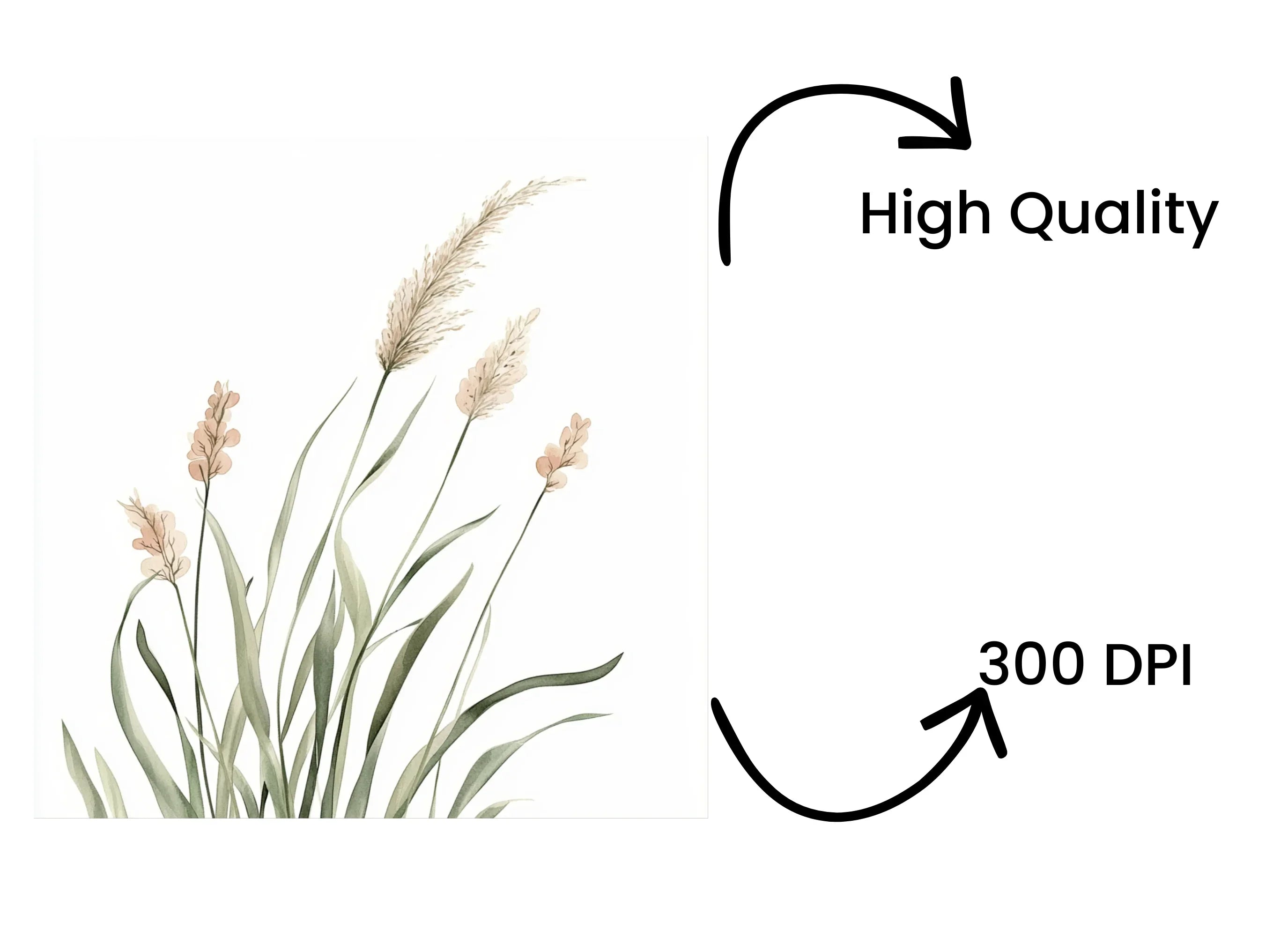 Wild Grass Clipart Bundle