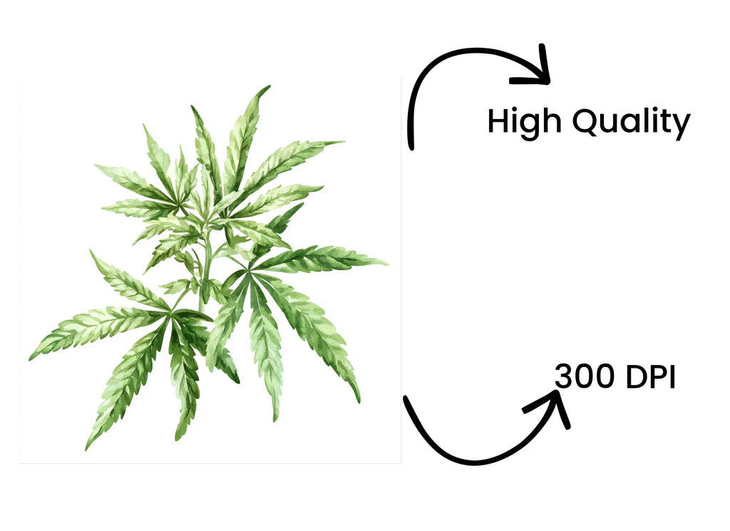Cannabis Leaves Clipart Bundle