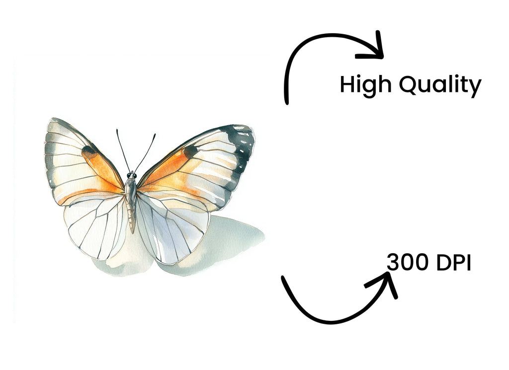 Elegant Butterfly Clipart Bundle