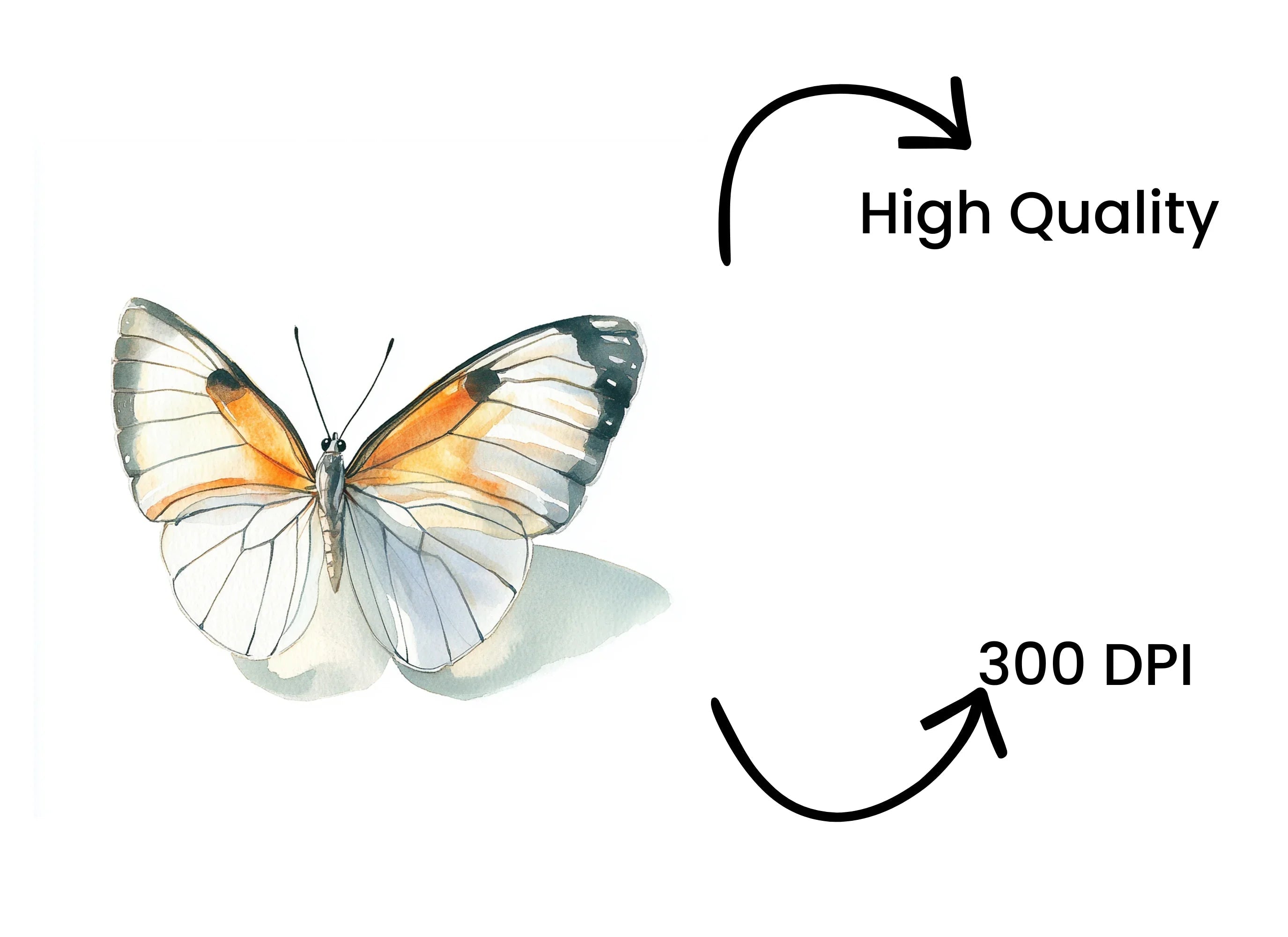 Elegant Butterfly Clipart Bundle