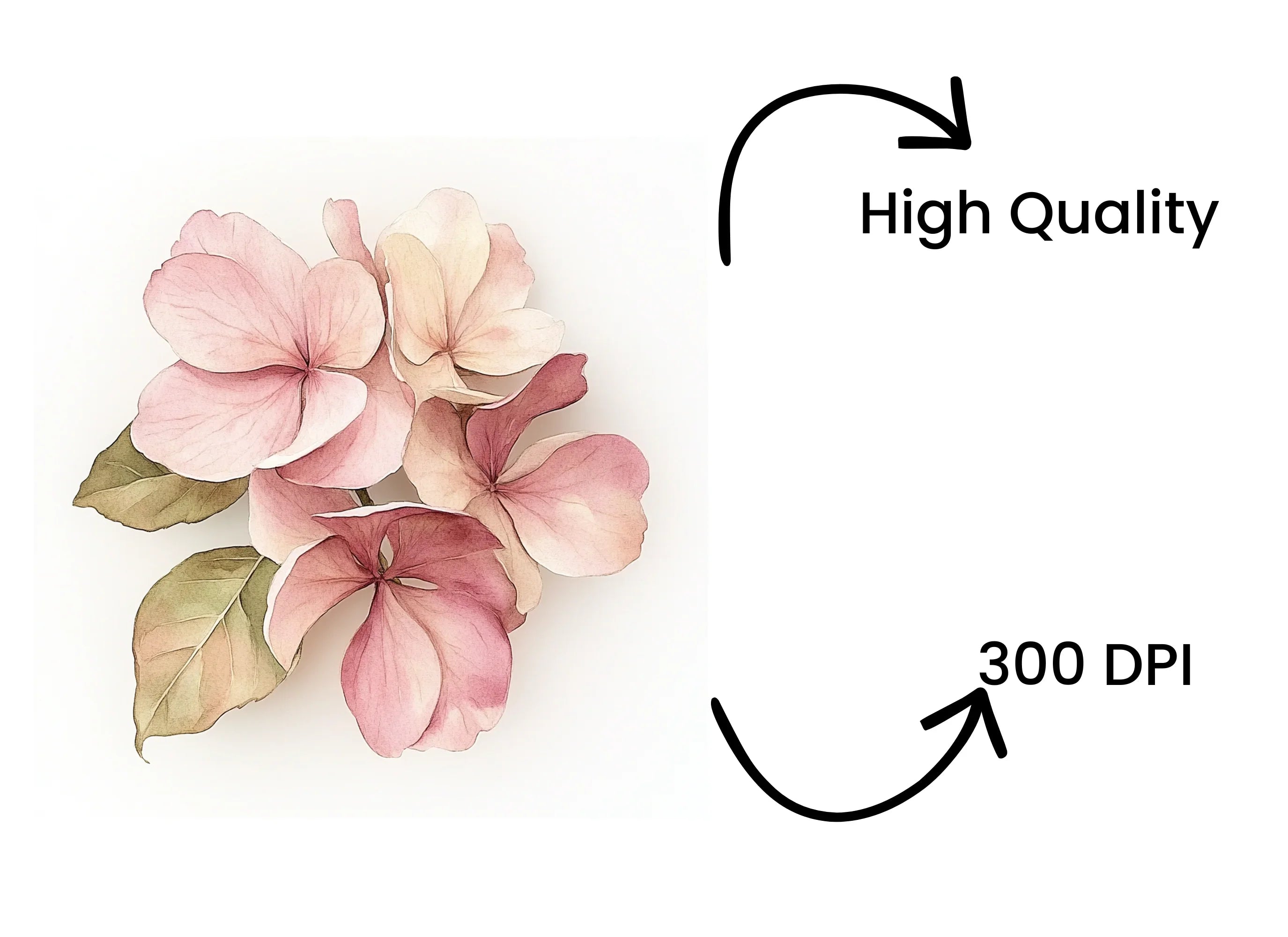 Pink Floral Clipart Bundle