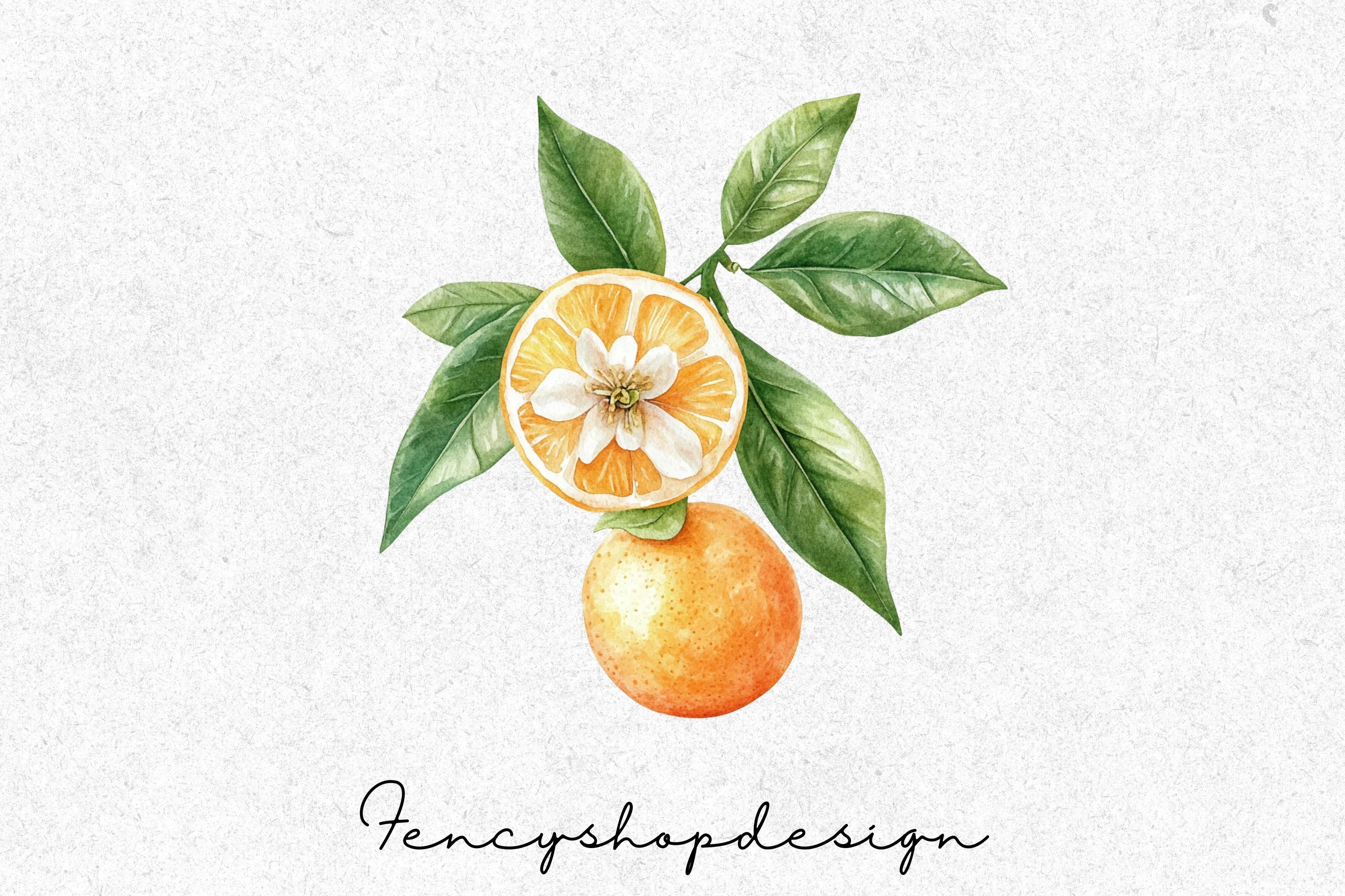 Citrus Fruits Blossoms Clipart Bundle