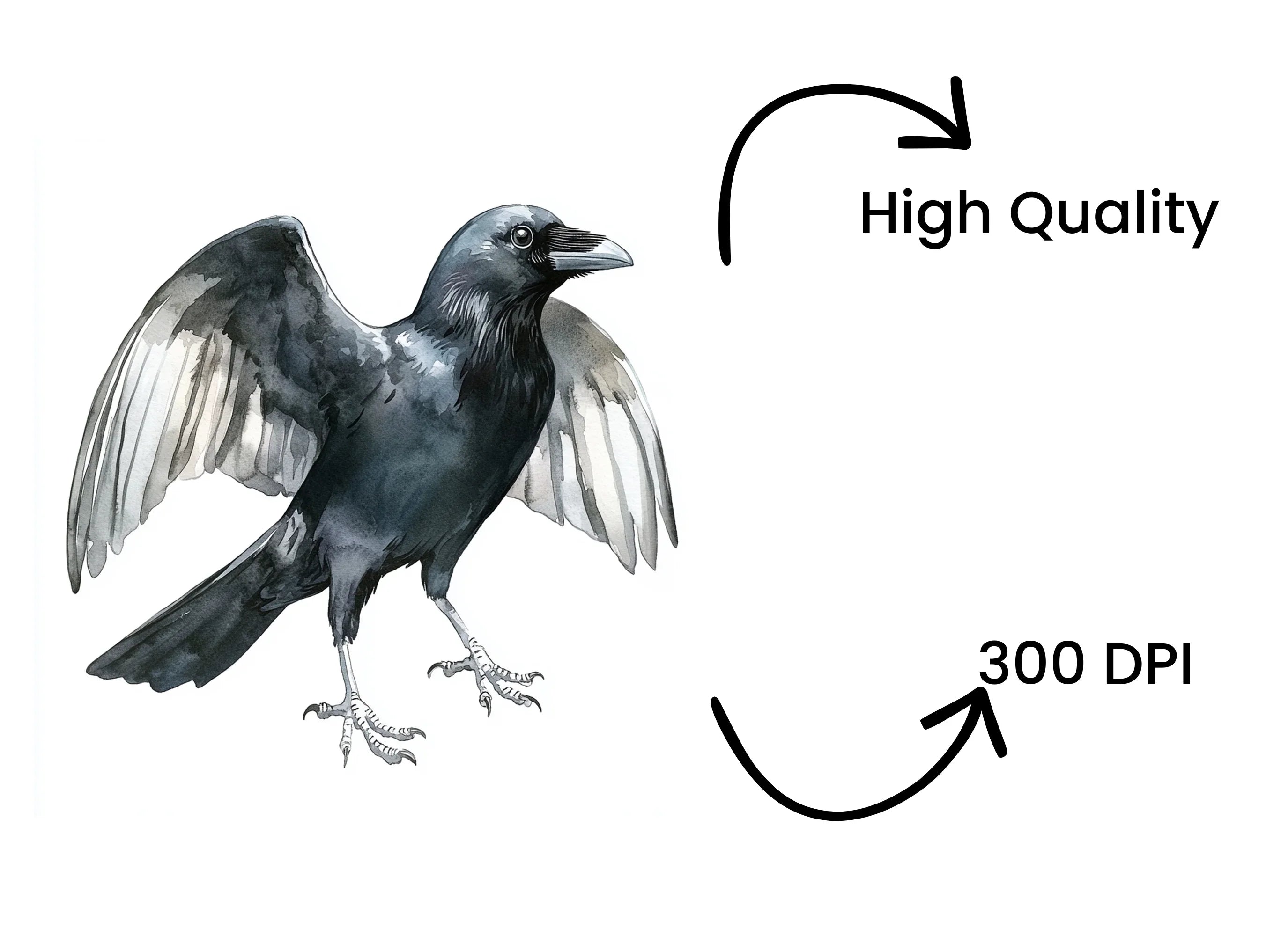 Crows with Open Wings Clipart Bundle