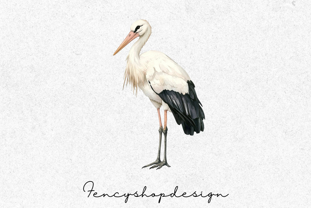 Elegant Stork Bird Clipart Bundle