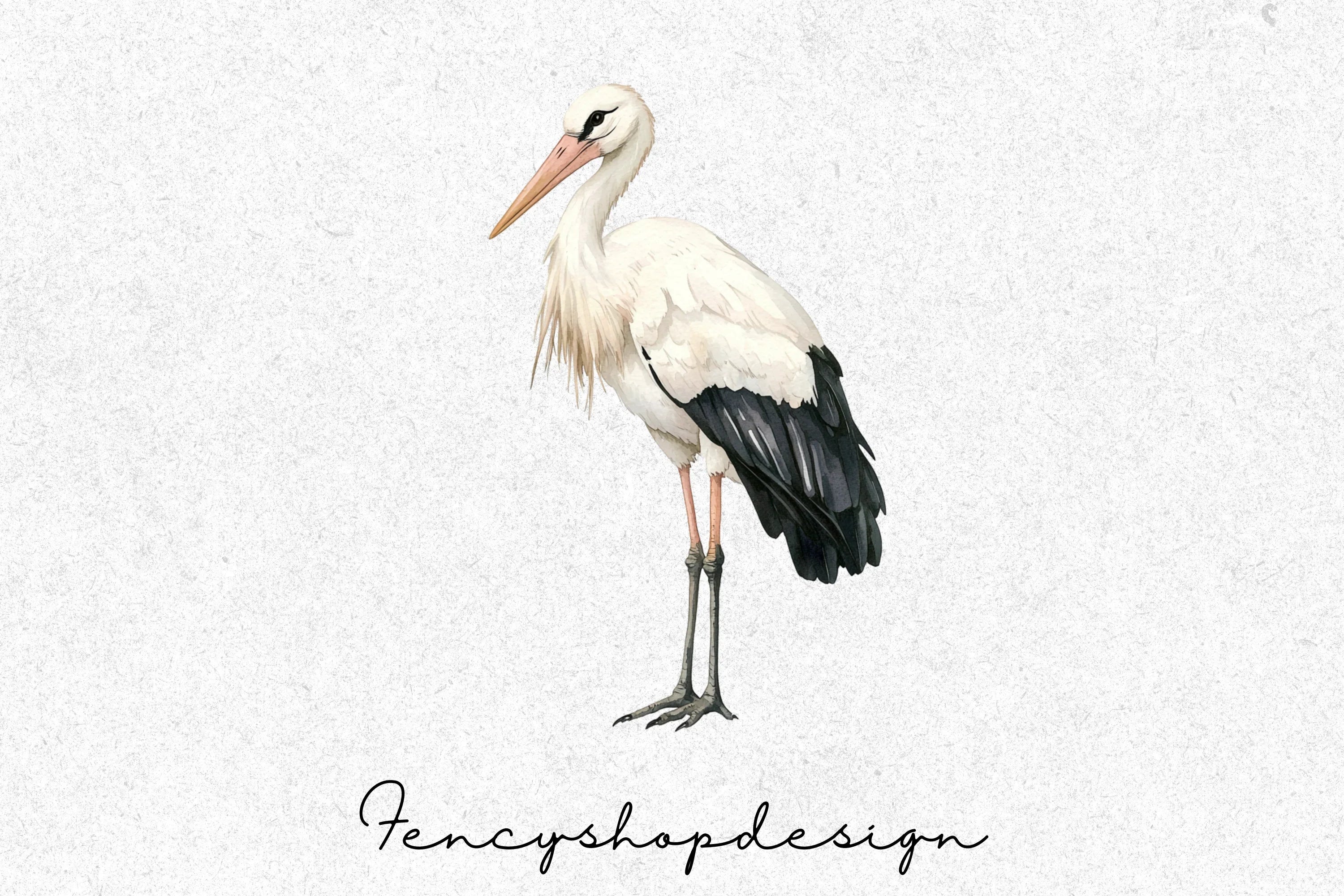Elegant Stork Bird Clipart Bundle