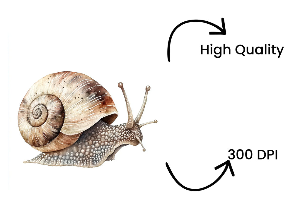 Realistic Snail Clipart Bundle