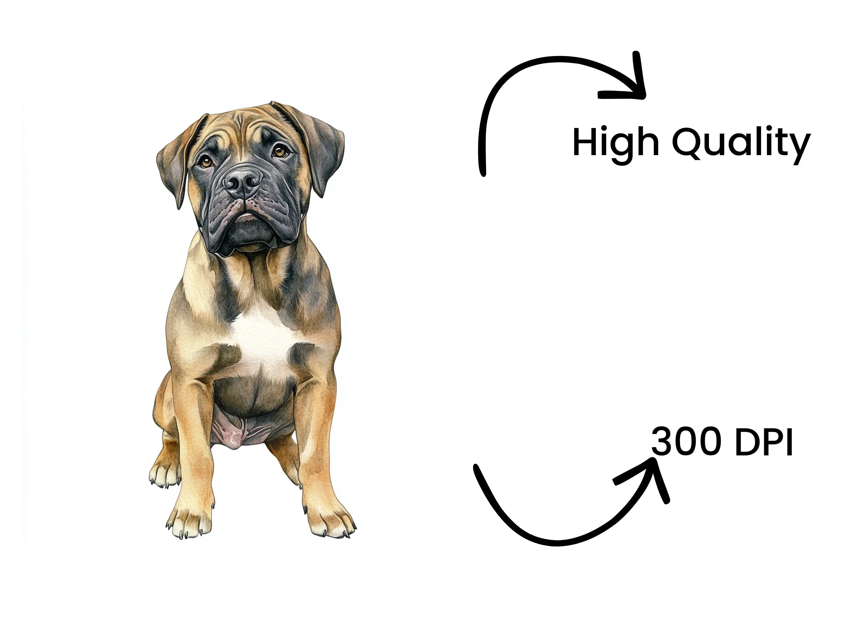 Bullmastiff Dog Clipart Bundle