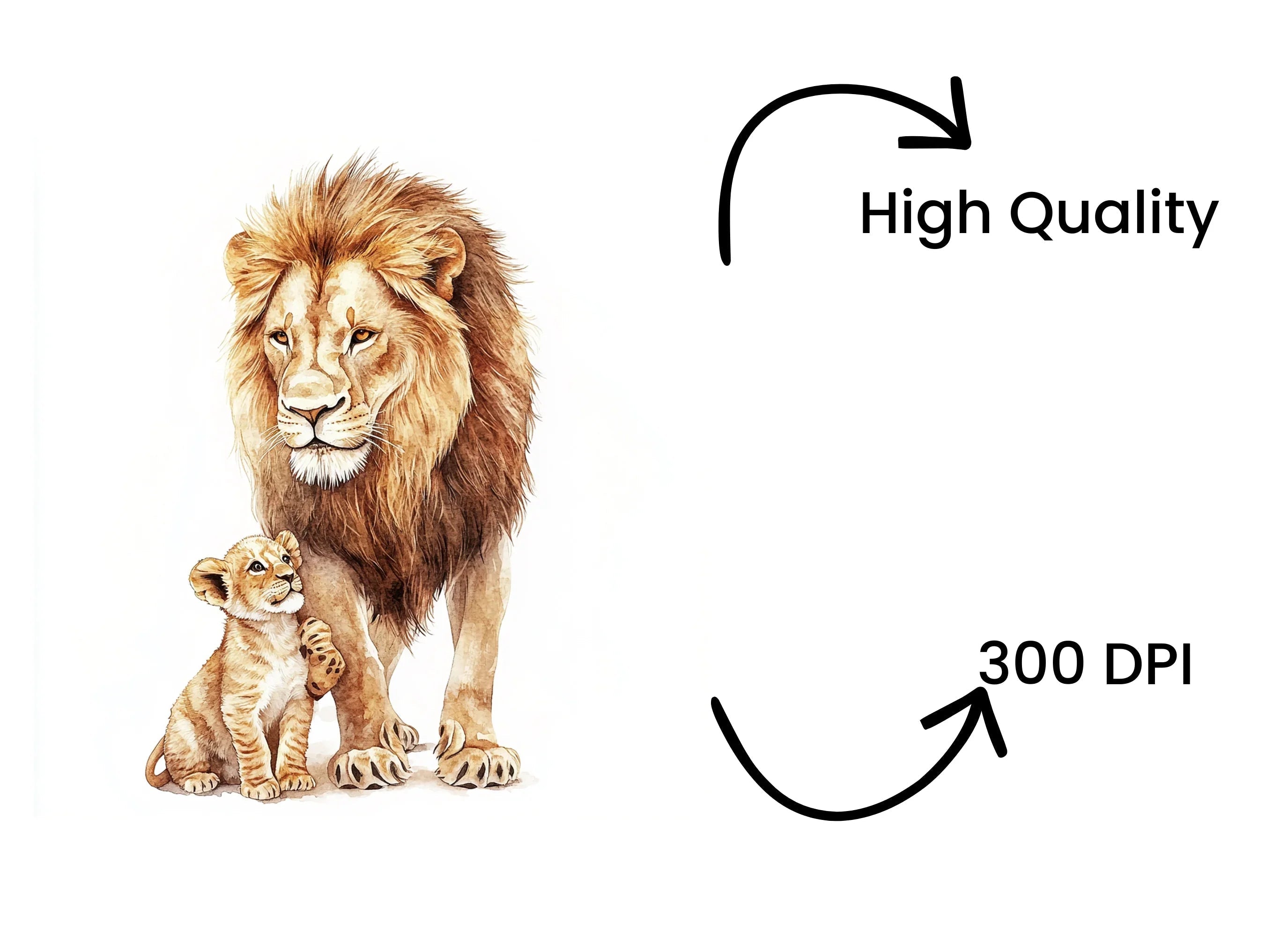 Playful Lion and Cub Clipart Bundle