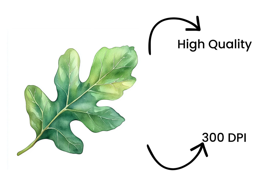 Green Leaves Clipart Bundle