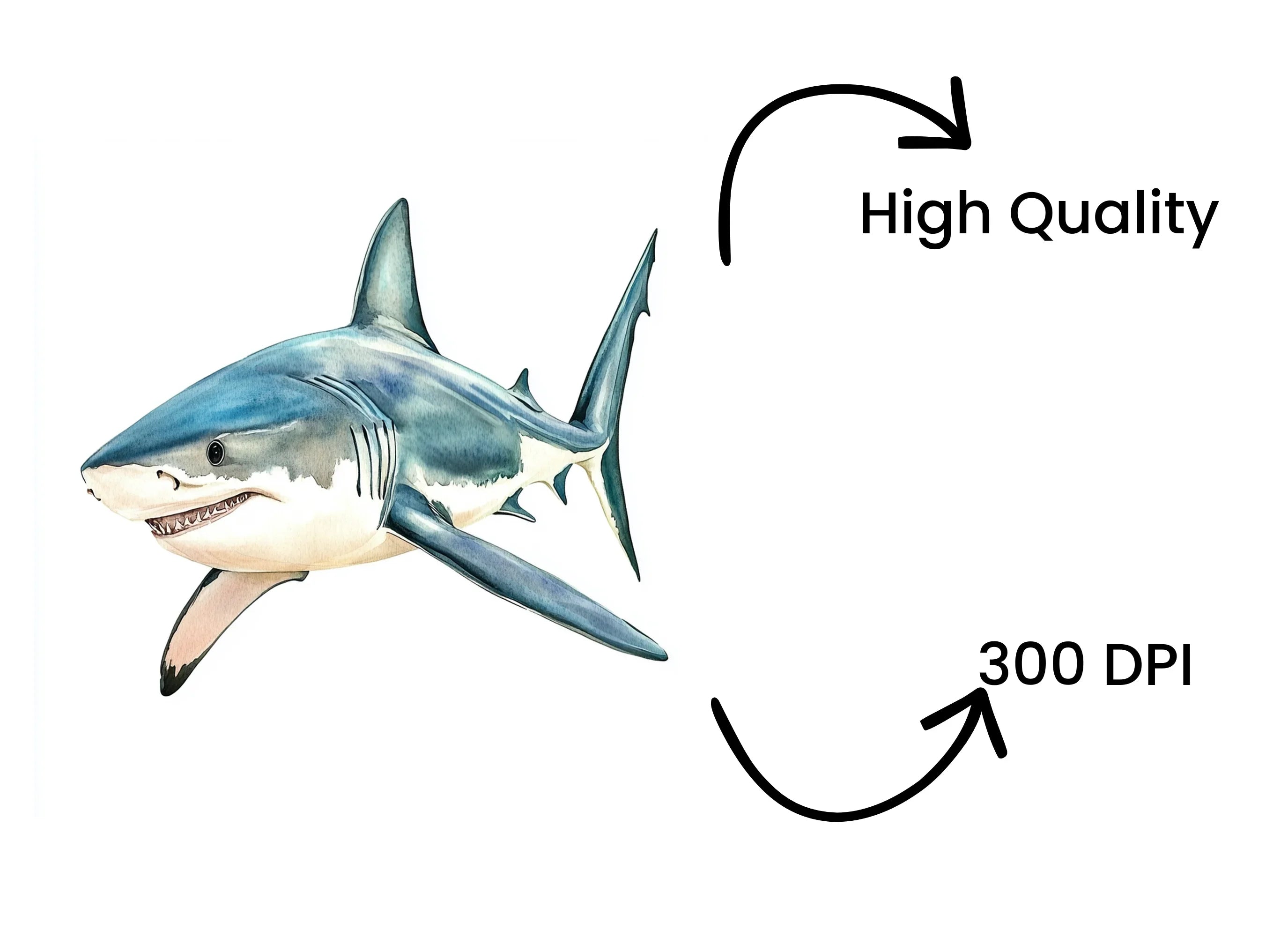 Mako Shark Clipart Bundle
