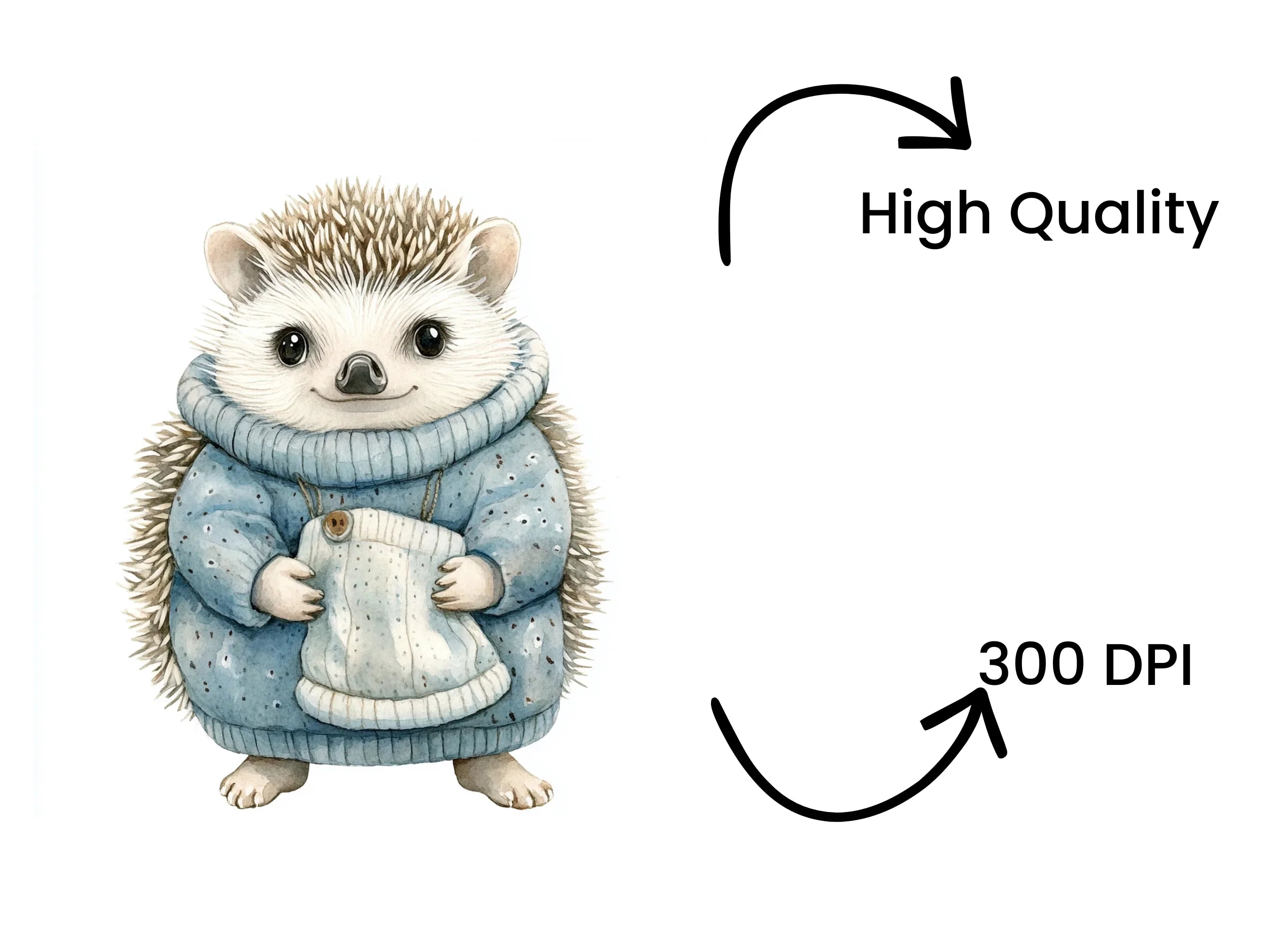 Cute Hedgehog in Blue Sweater Clipart Bundle