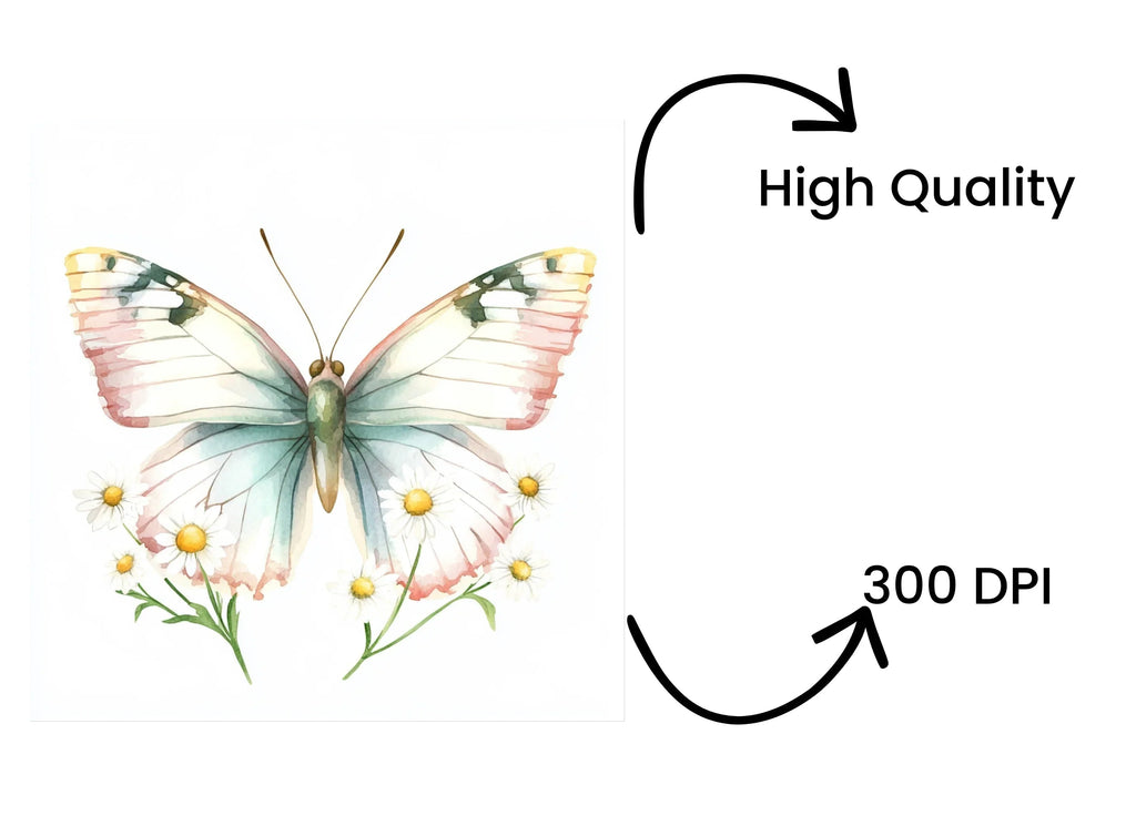 Butterflies and Daisies Clipart Bundle