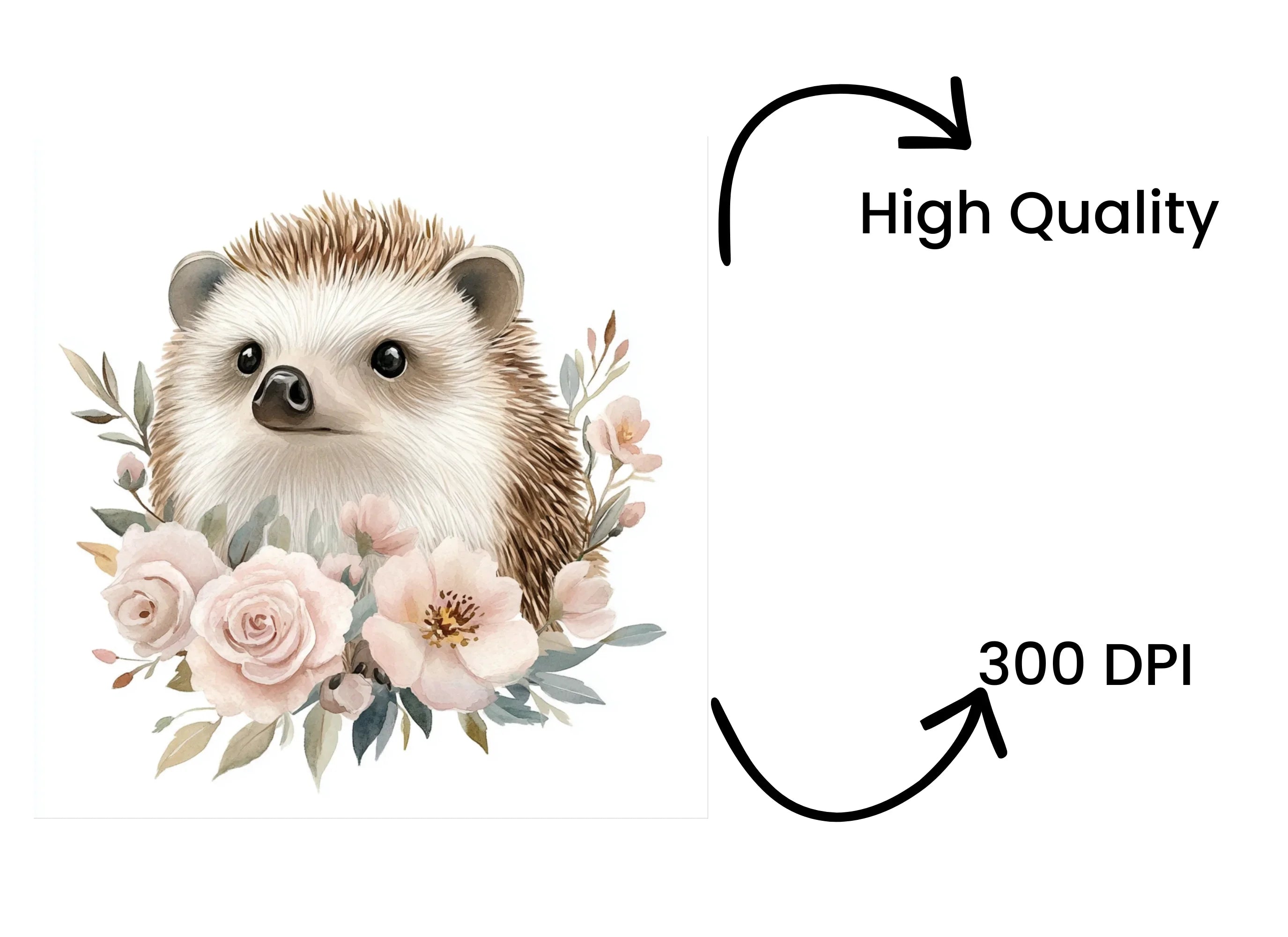 Floral Hedgehog Clipart Bundle