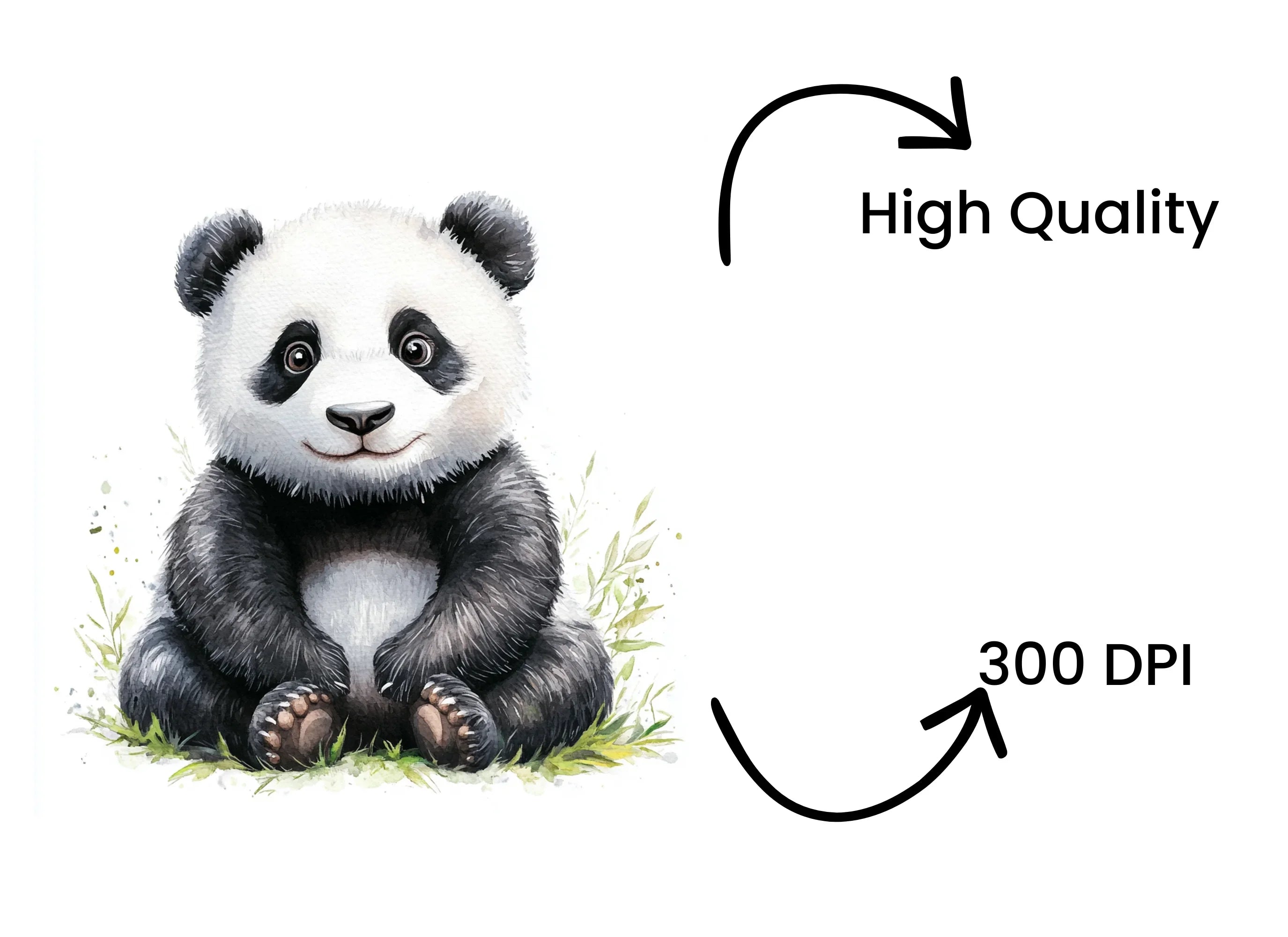 Cute Panda Clipart Bundle