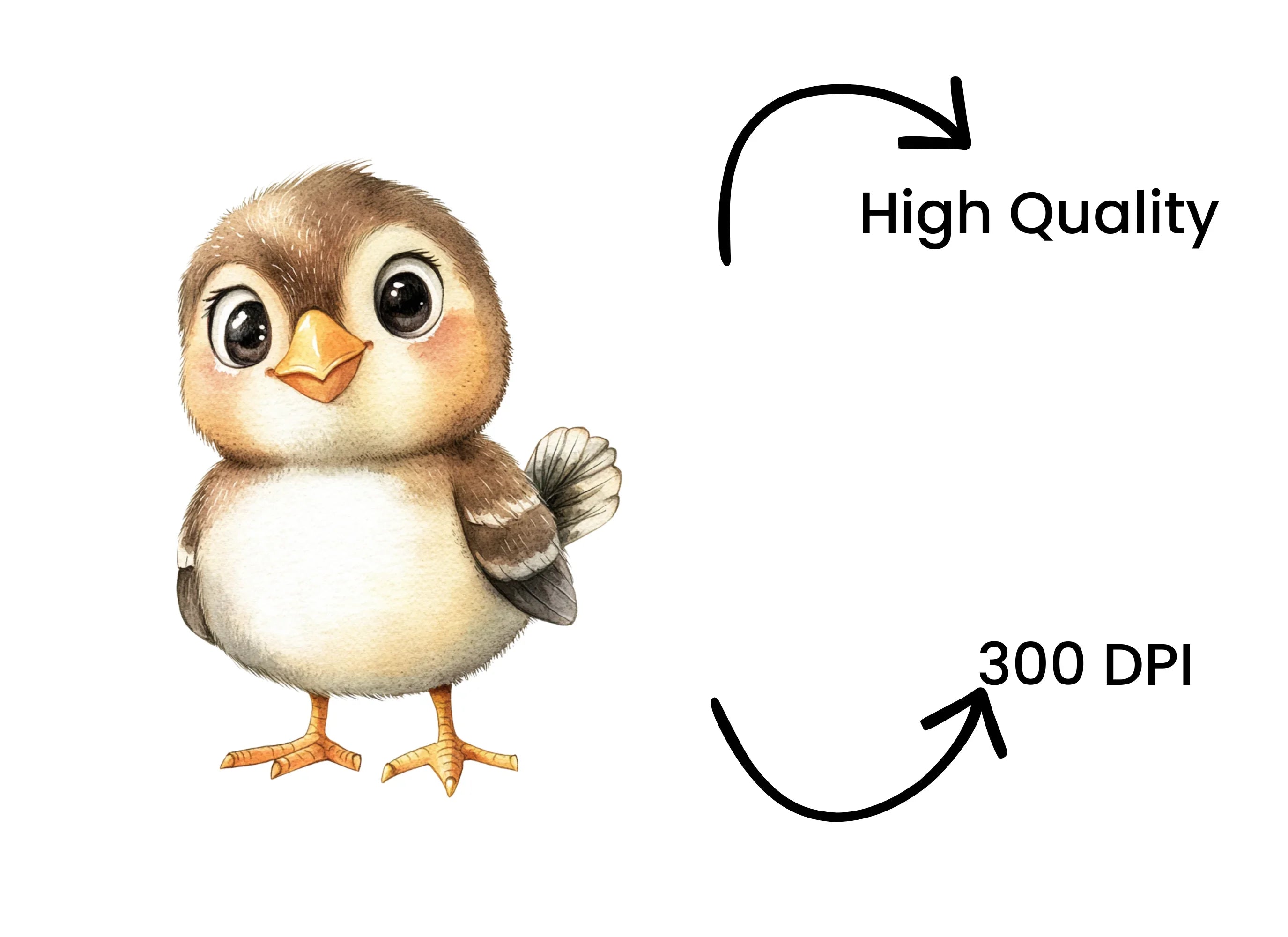 Cute Baby Bird Clipart Bundle