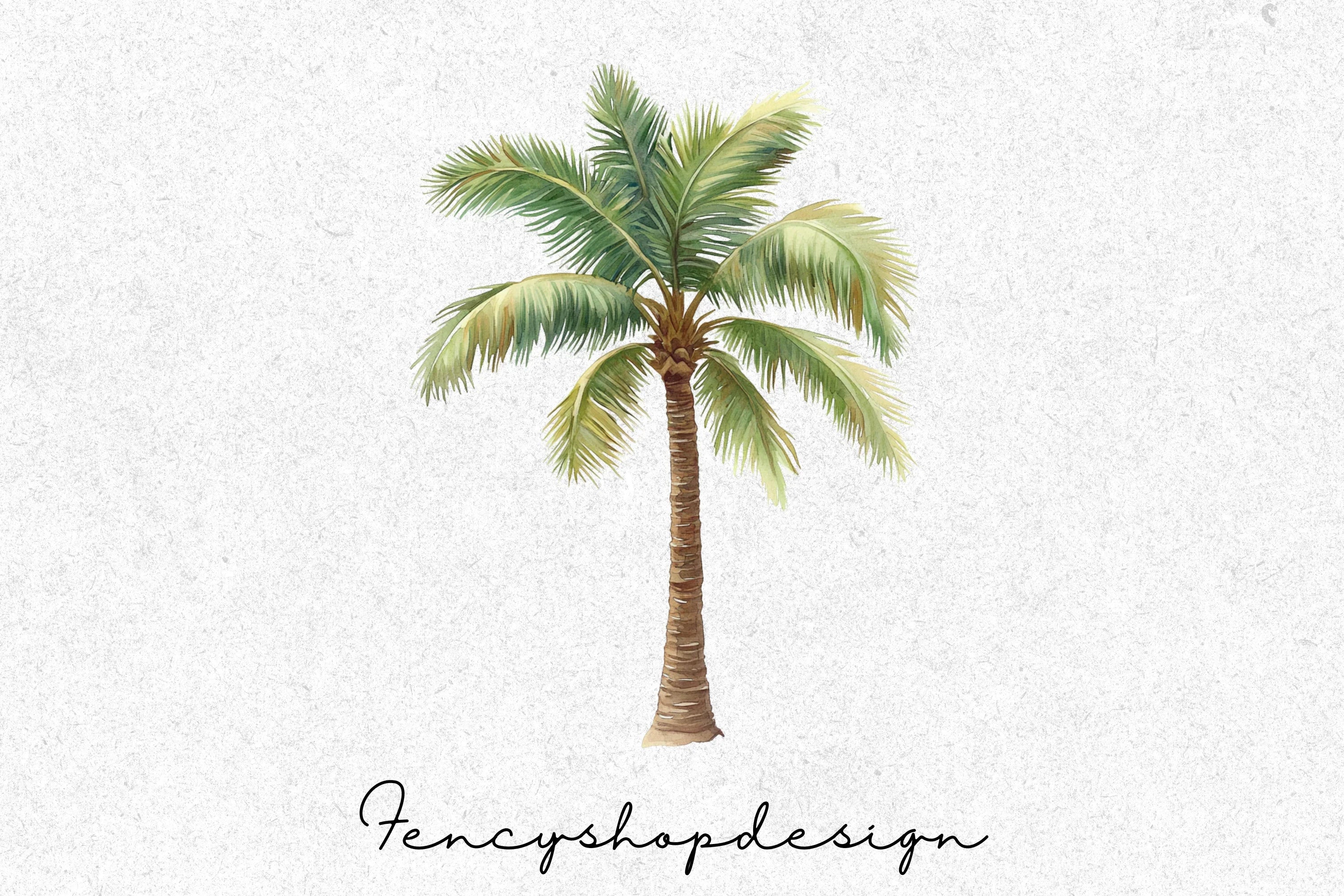 Tropical Palm Tree Clipart Bundle