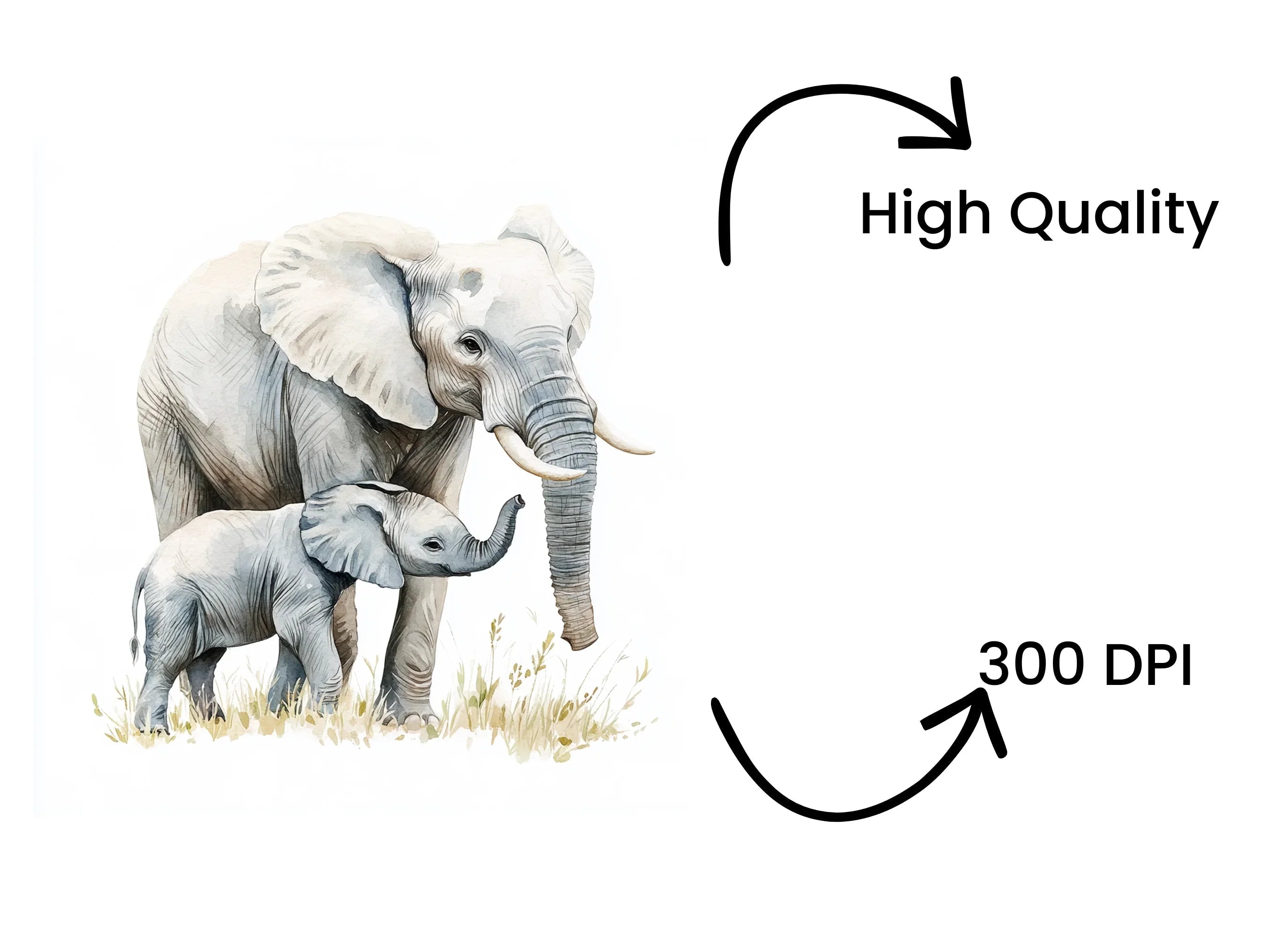 Cute Elephant Mother and Baby Clipart Bundle