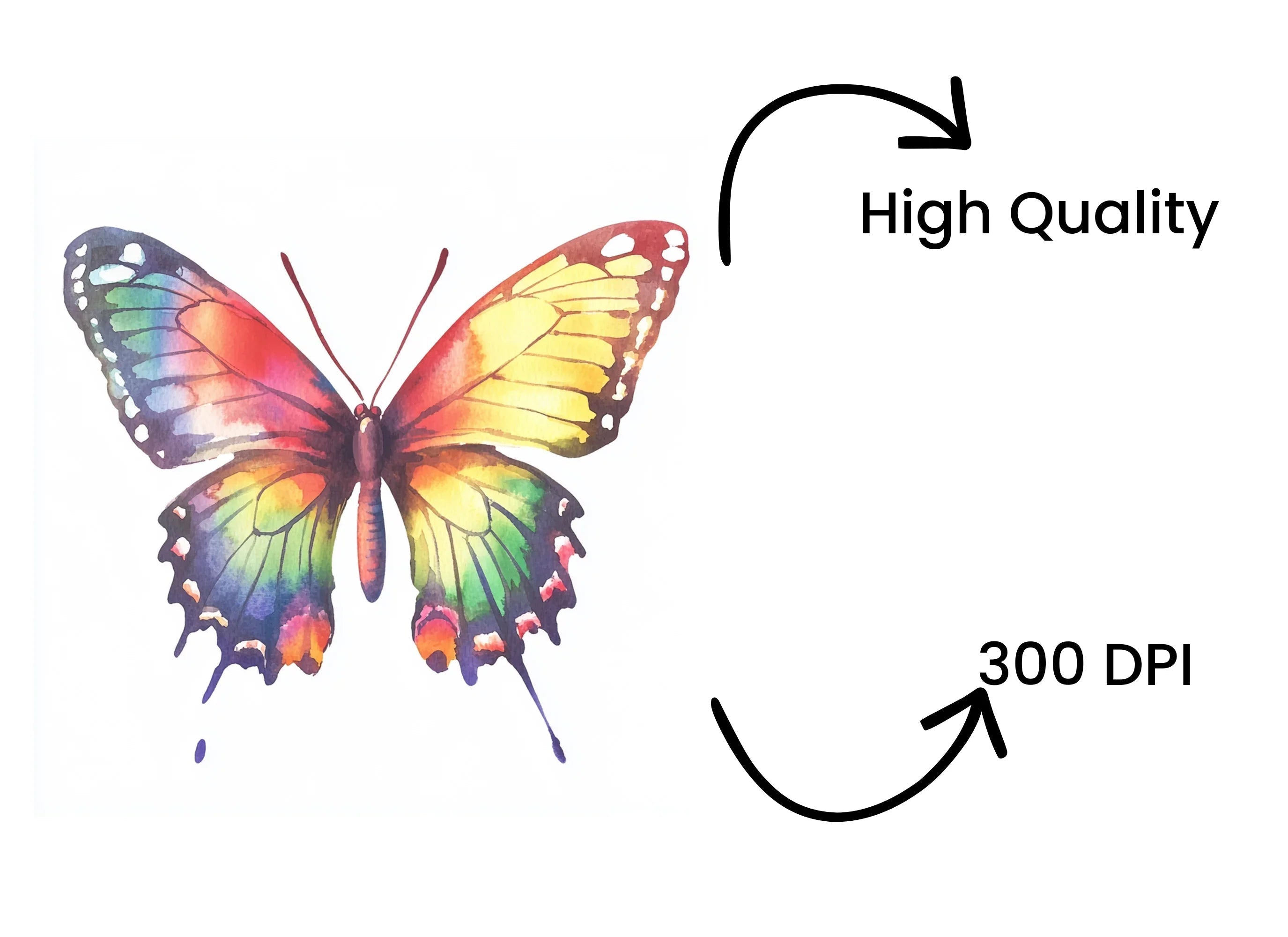 Rainbow Butterfly Clipart Bundle