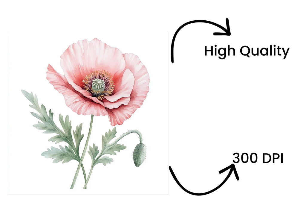Pink Poppy Clipart Bundle