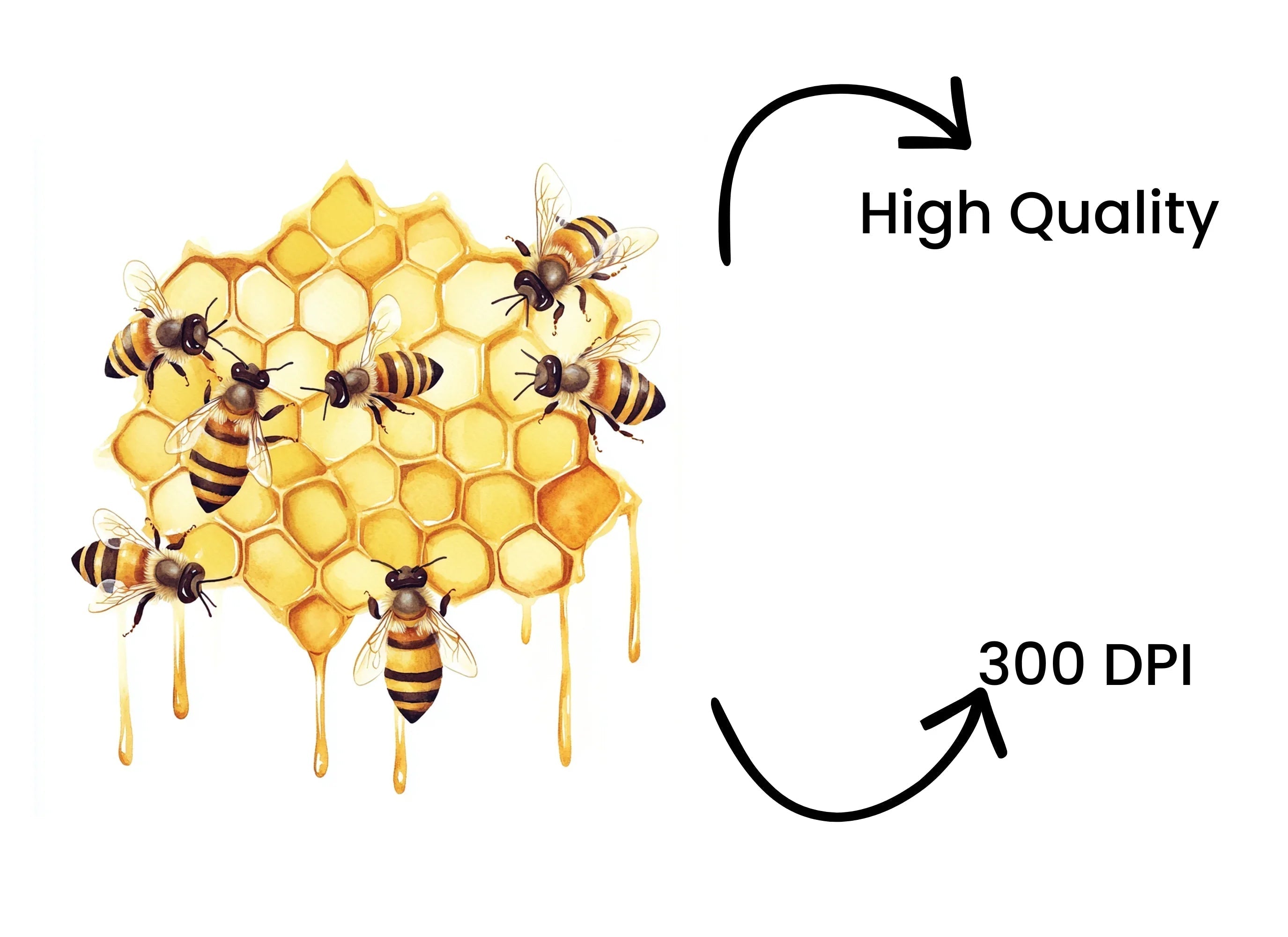 Busy Bees on Honeycomb Clipart Bundle