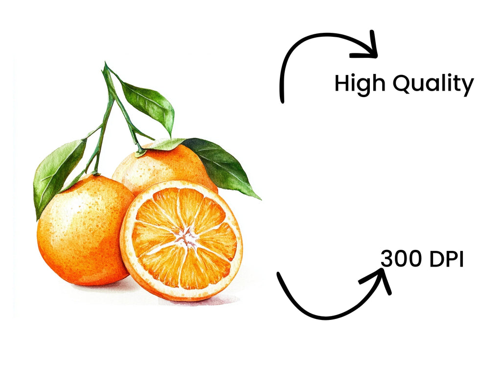 Fresh Orange Fruit Clipart Bundle