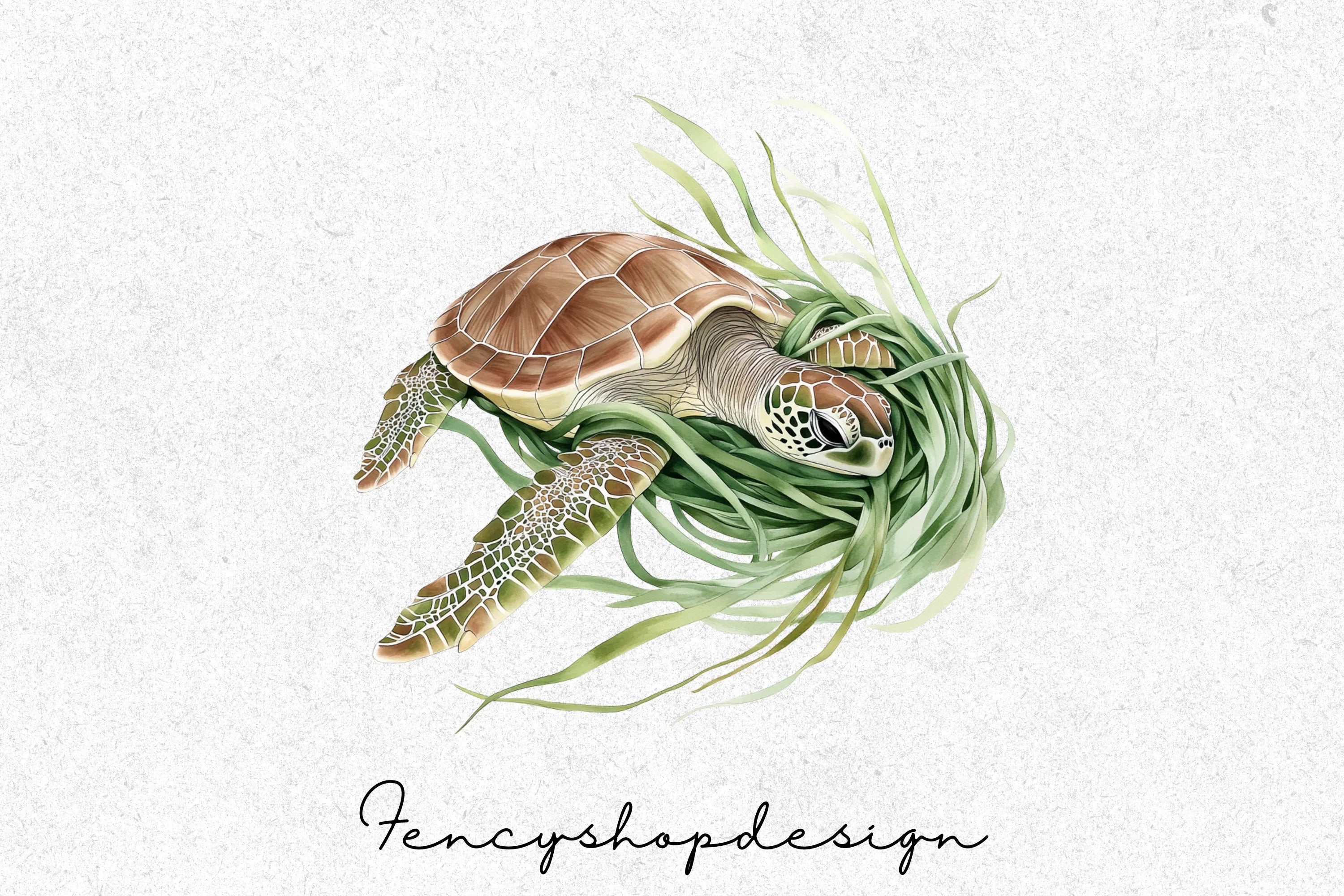 Marine Life Turtle and Dolphin Treasure Clipart Bundle