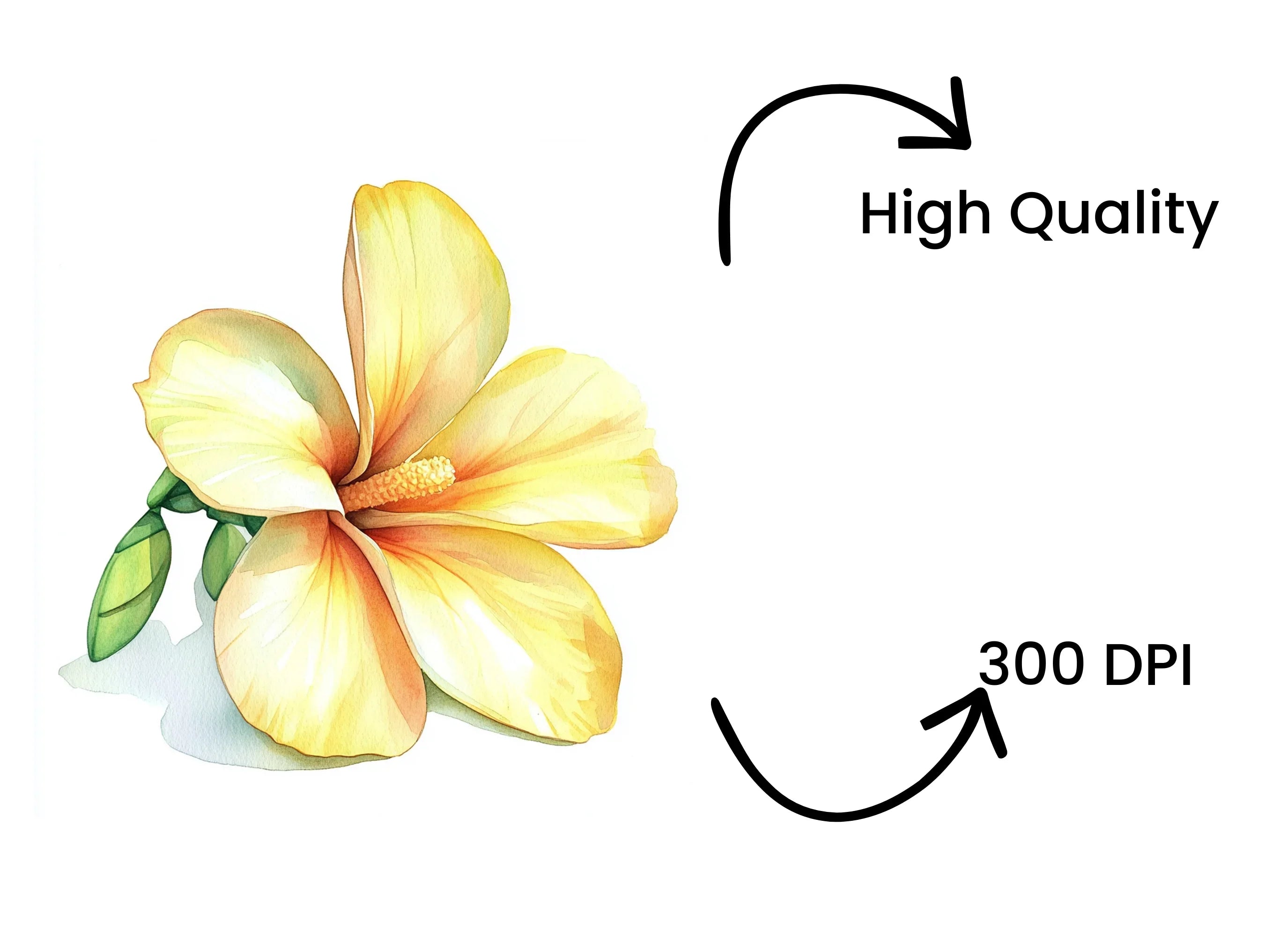 Yellow Floral Leaf Clipart Bundle