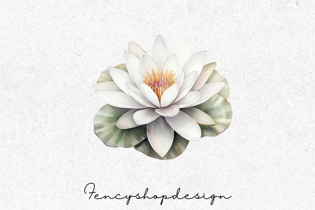 Elegant White Water Lily Clipart Bundle
