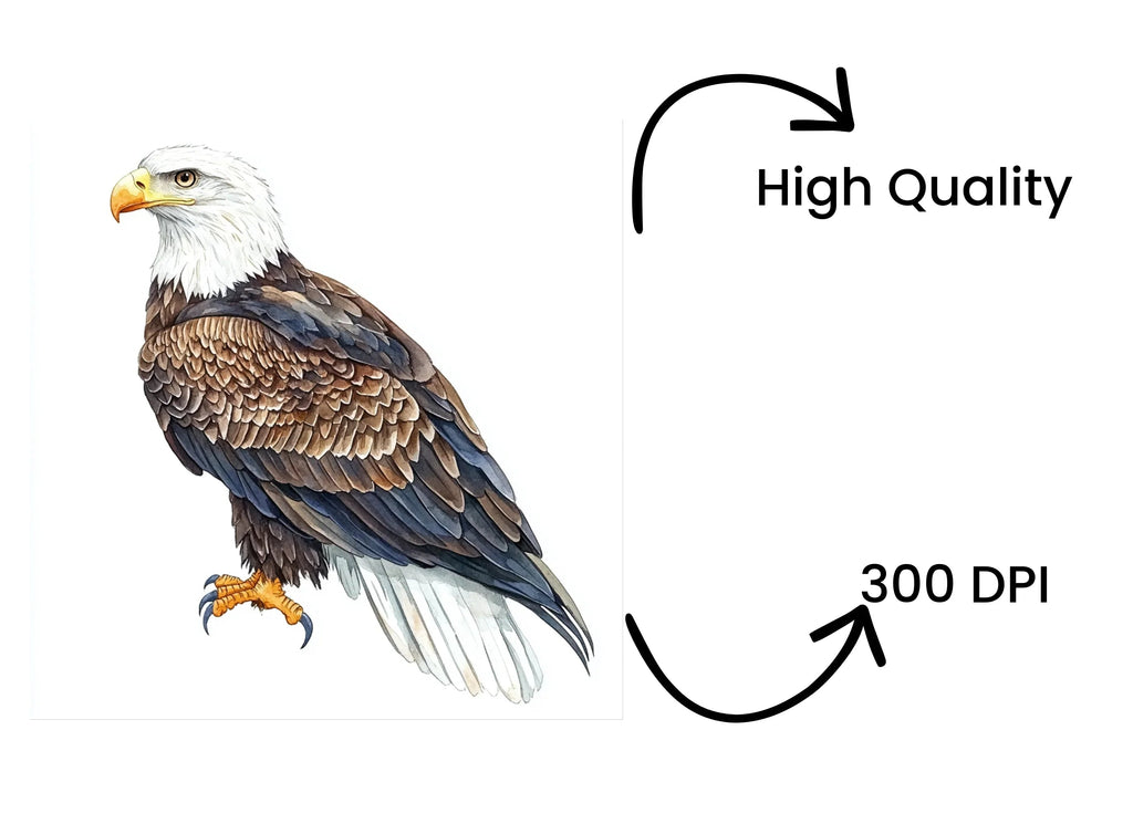 Bald Eagle Clipart Bundle