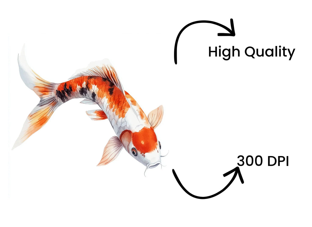 Stunning Koi Fish Clipart Bundle