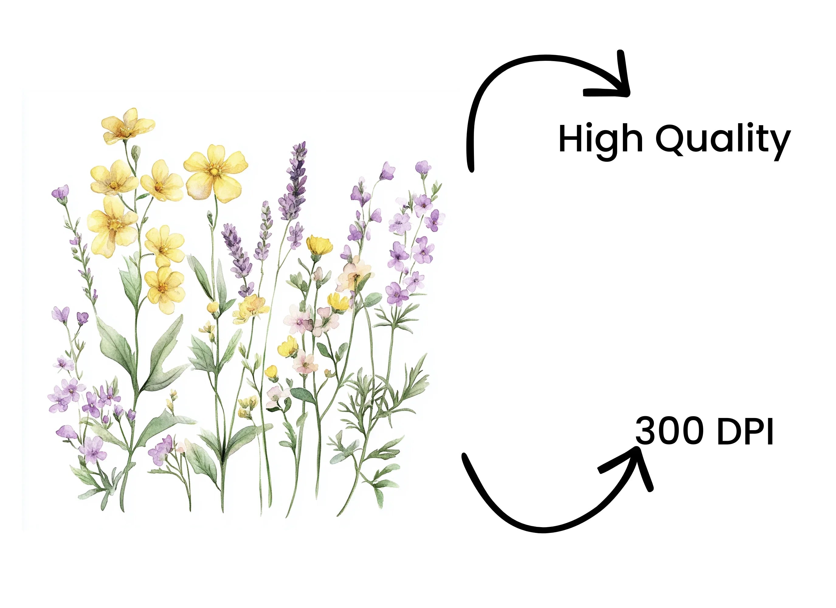 Vibrant Wildflower Clipart Bundle