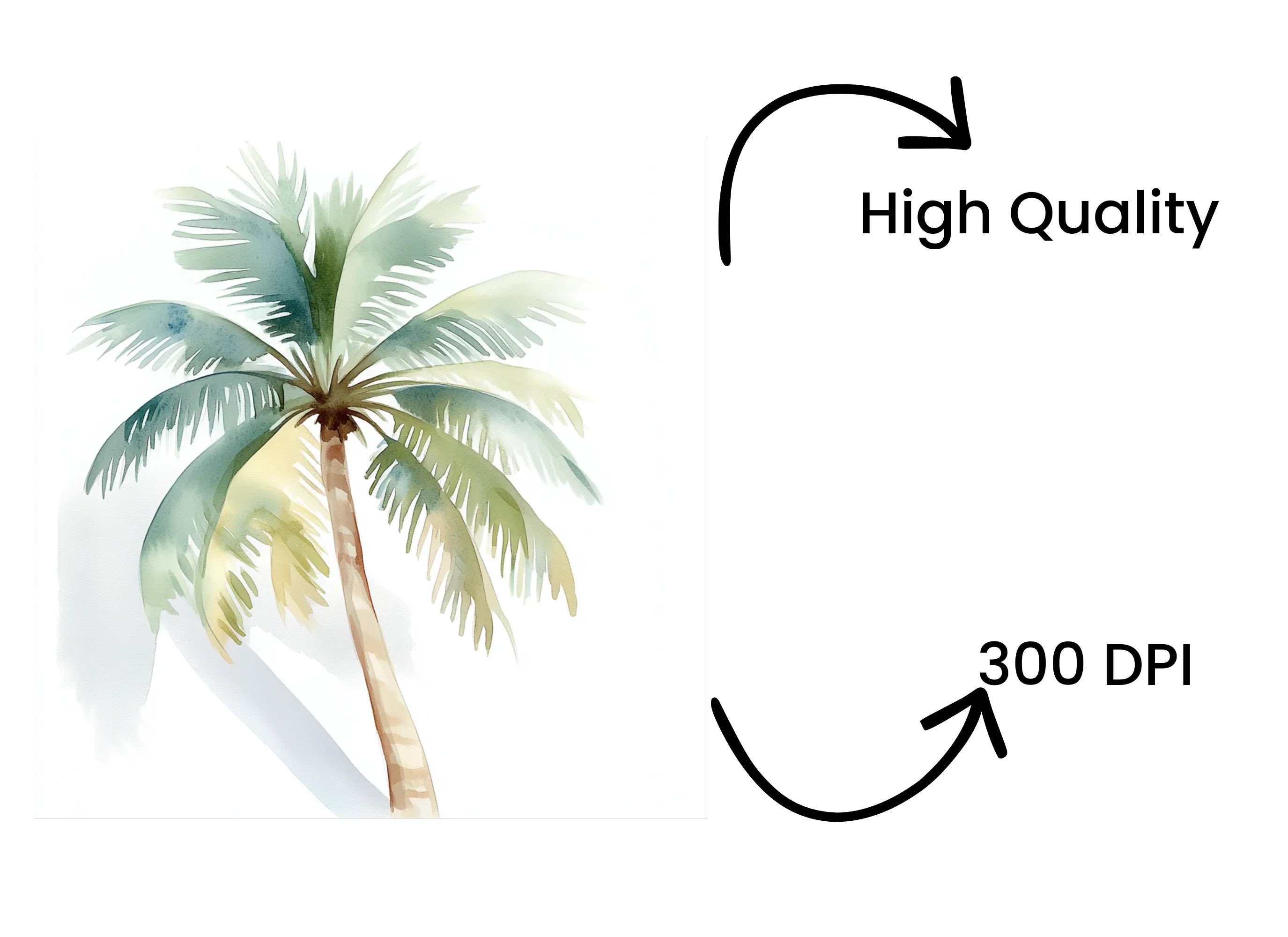 Tropical Palm Trees Clipart Bundle