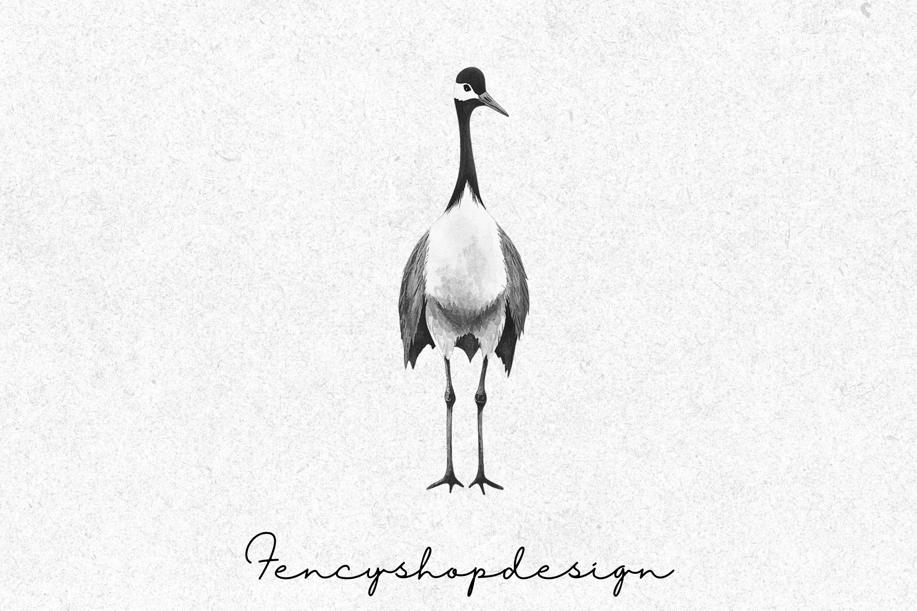 Elegant Crane Bird Clipart Bundle