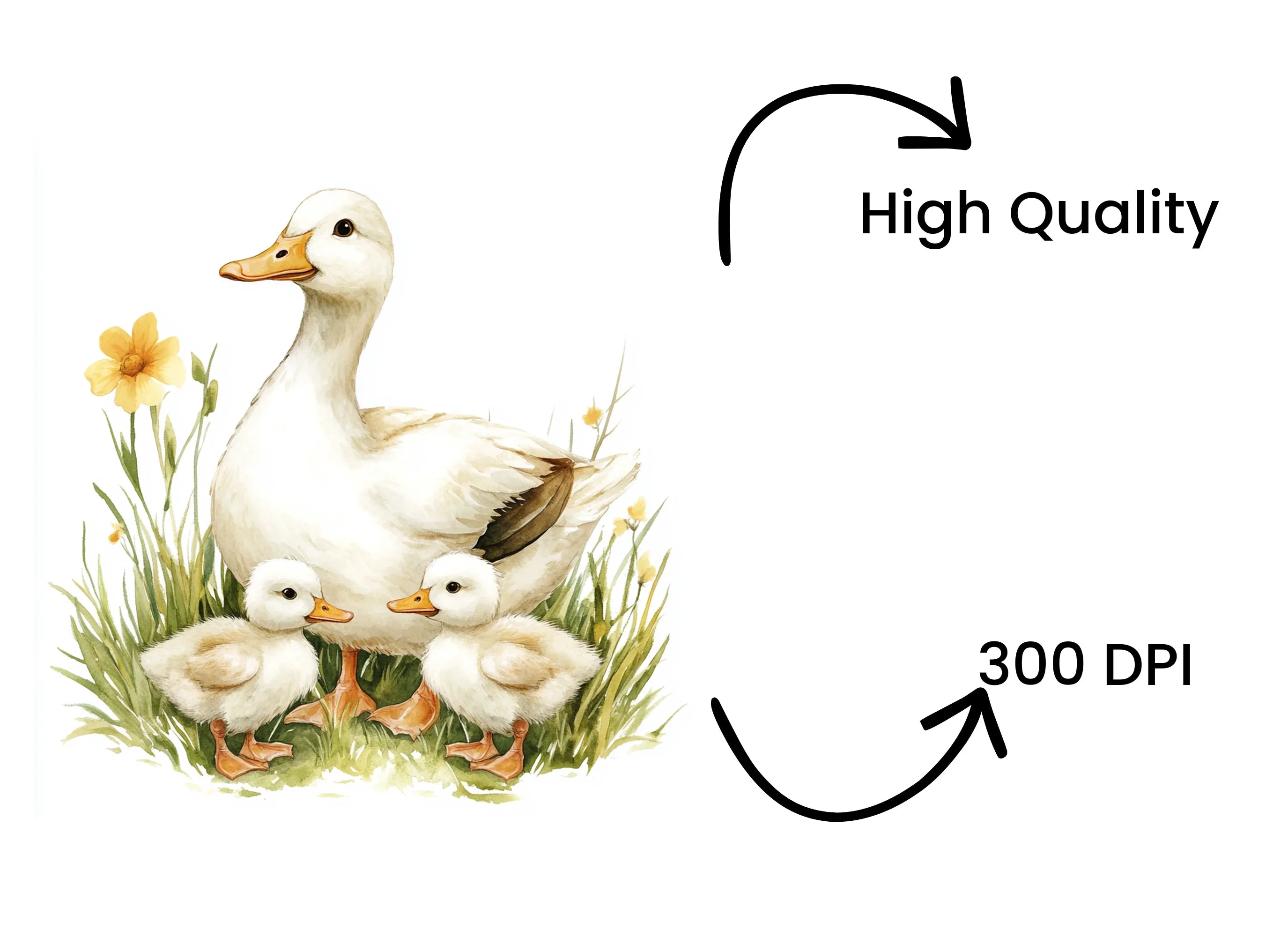 Mother Duck and Ducklings in Grass Clipart Bundle