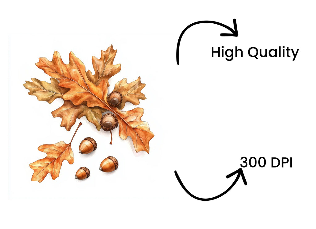 Autumn Oak Leaves and Acorns Clipart Bundle