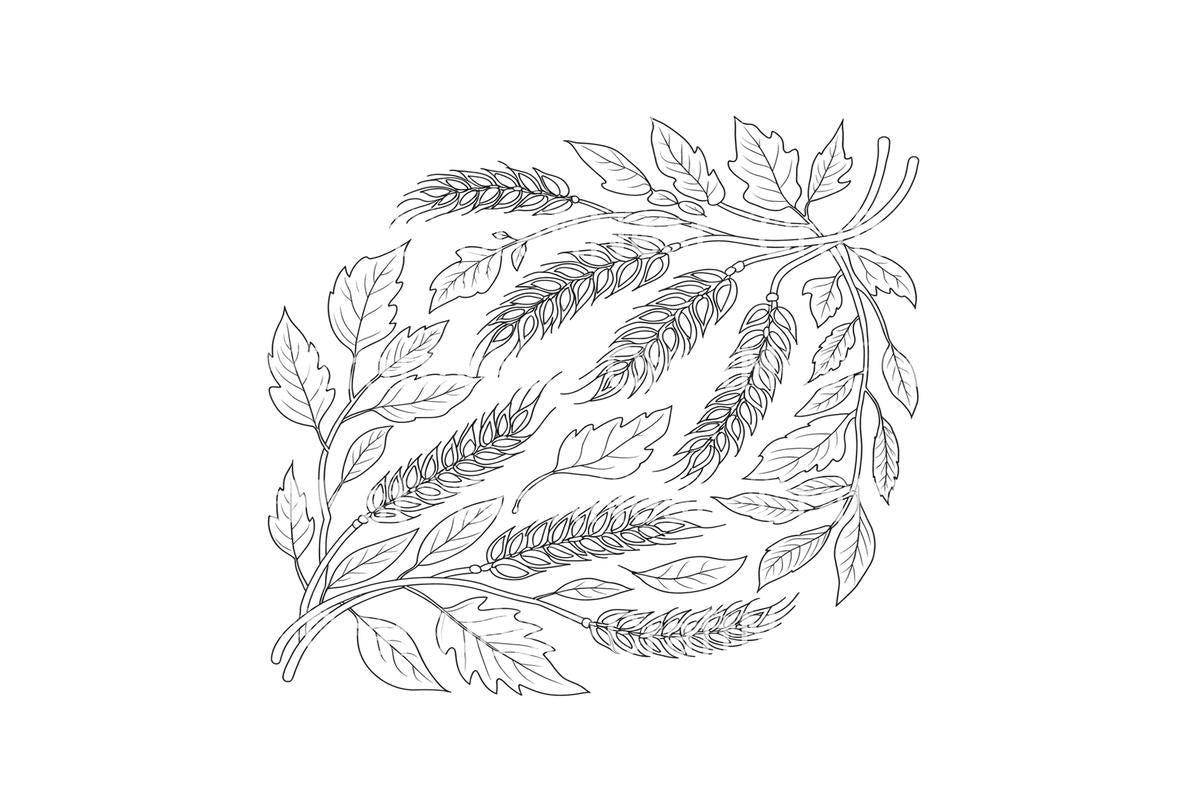 Autumn Harvest Wheat and Leaves Coloring Books