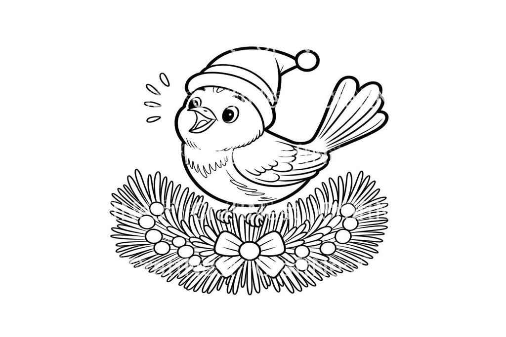 Cute Christmas Birds Coloring Books