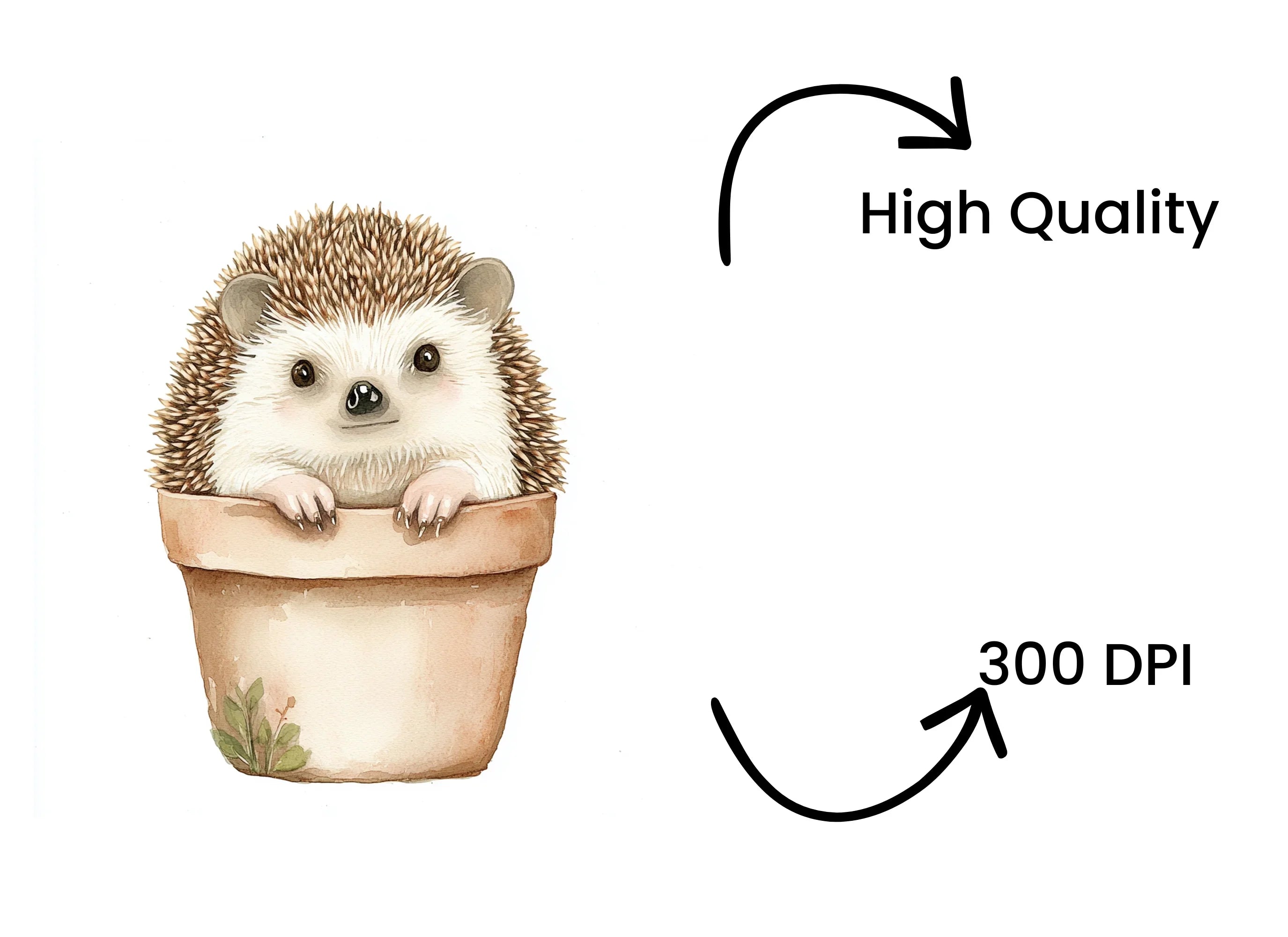 Cute Hedgehog in Pot Clipart Bundle