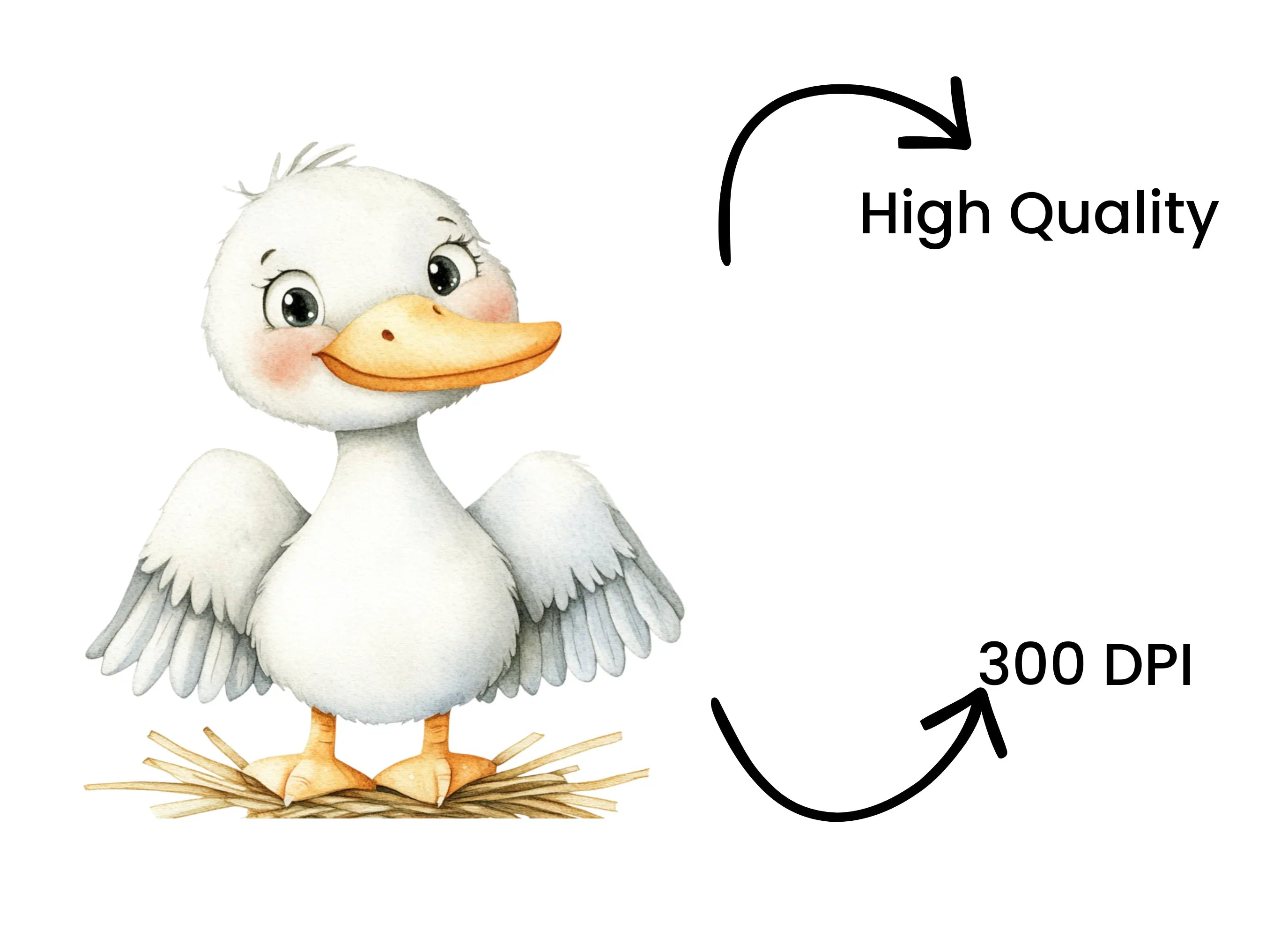 Adorable White Bird Clipart Bundle